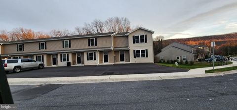 44 PETERSBURG LANE DUNCANNON PA 17020