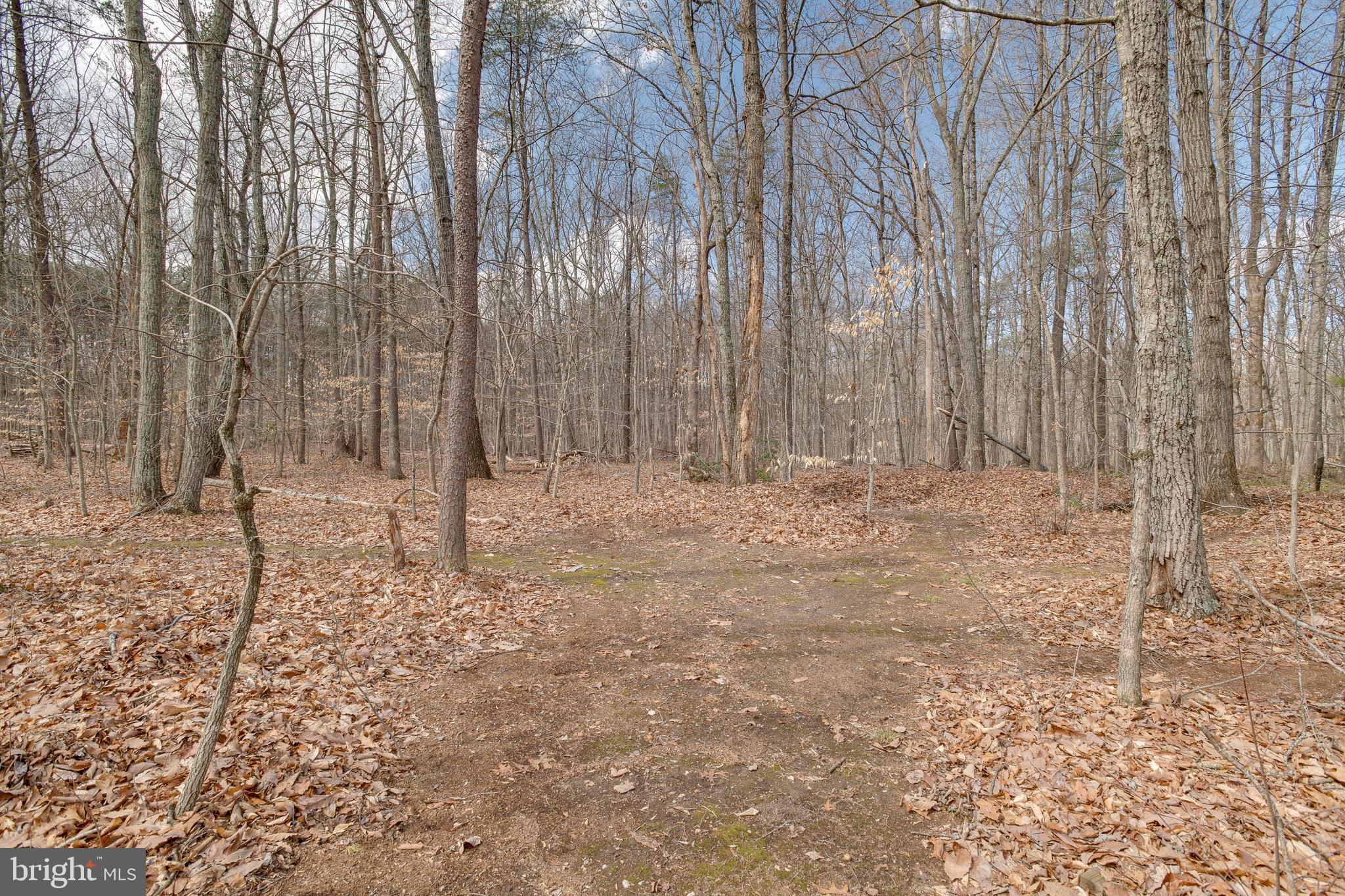 SHEPPERDS GROVE - Residential