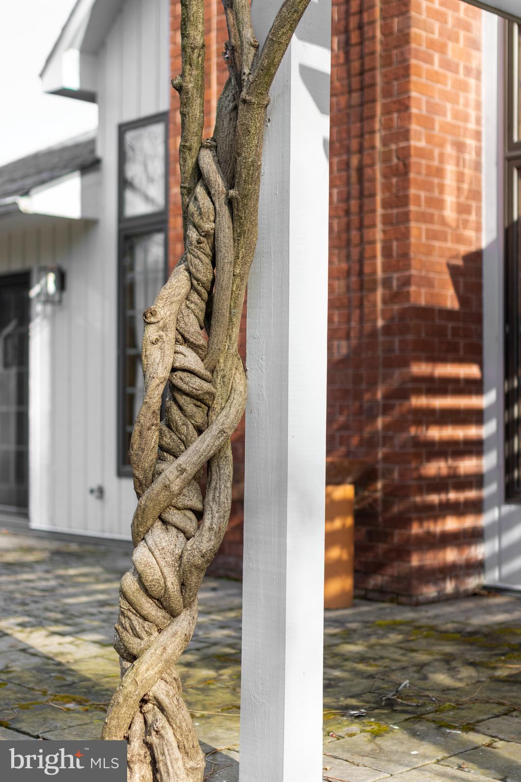 CANTERBURY CROSSING - Residential