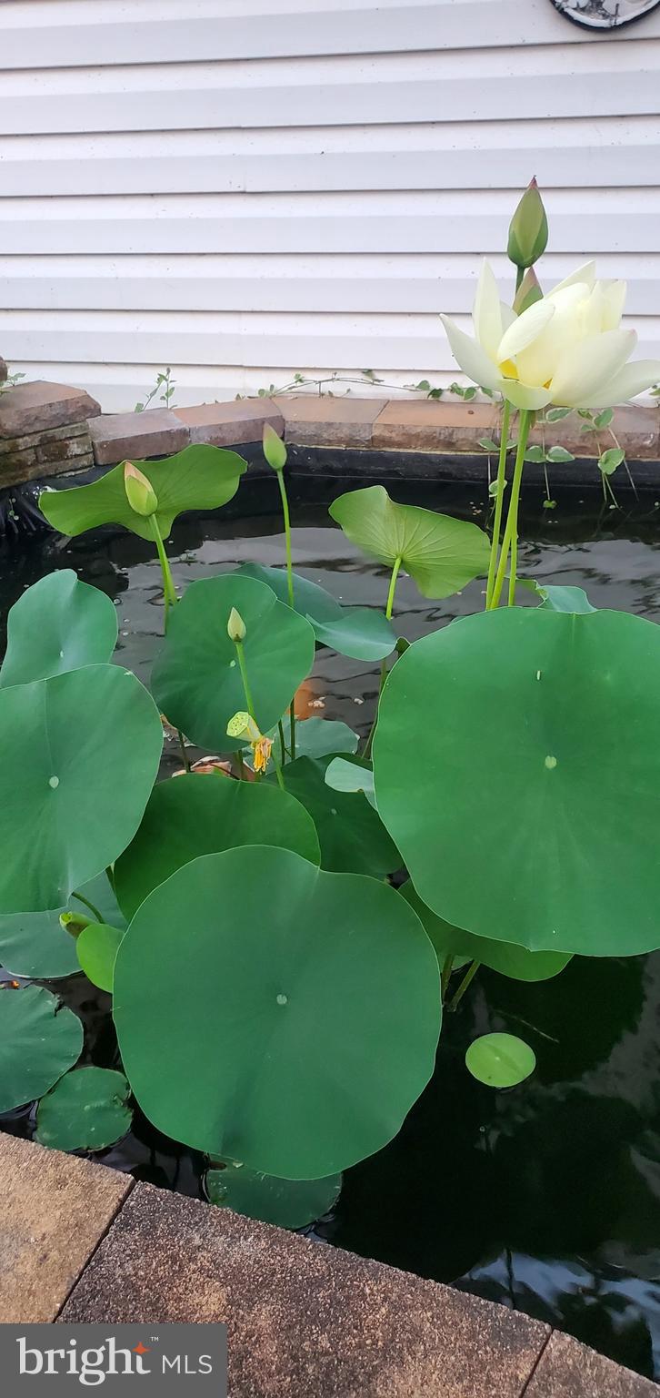 WEST OAK FIELDS - Residential