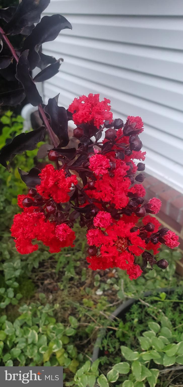 WEST OAK FIELDS - Residential