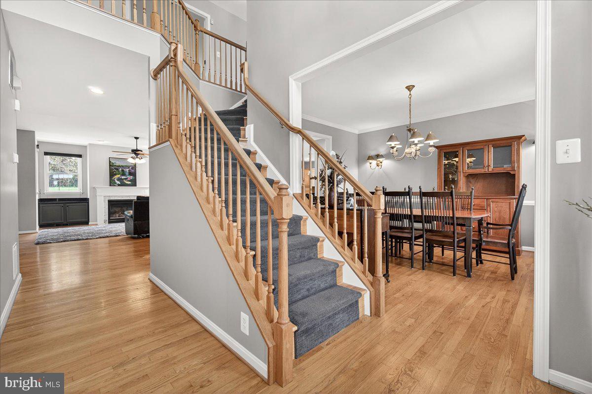 WEST OAK FIELDS - Residential