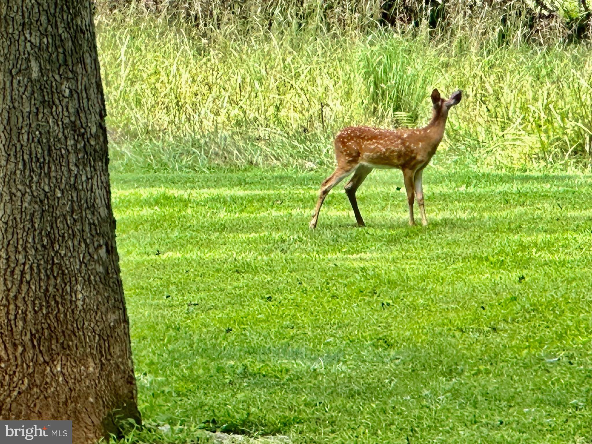 BEACONSFIELD - Residential