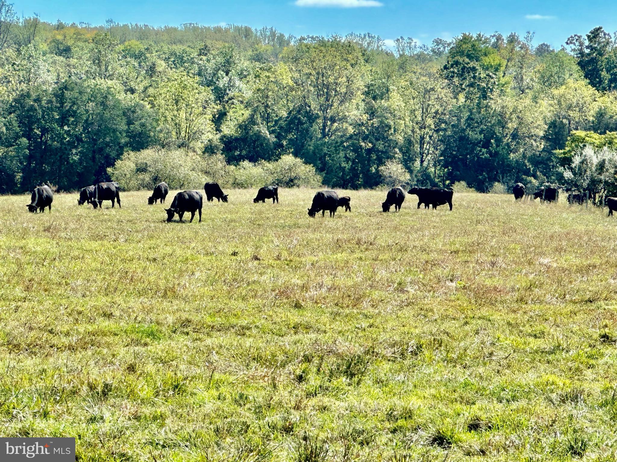 BEACONSFIELD - Residential