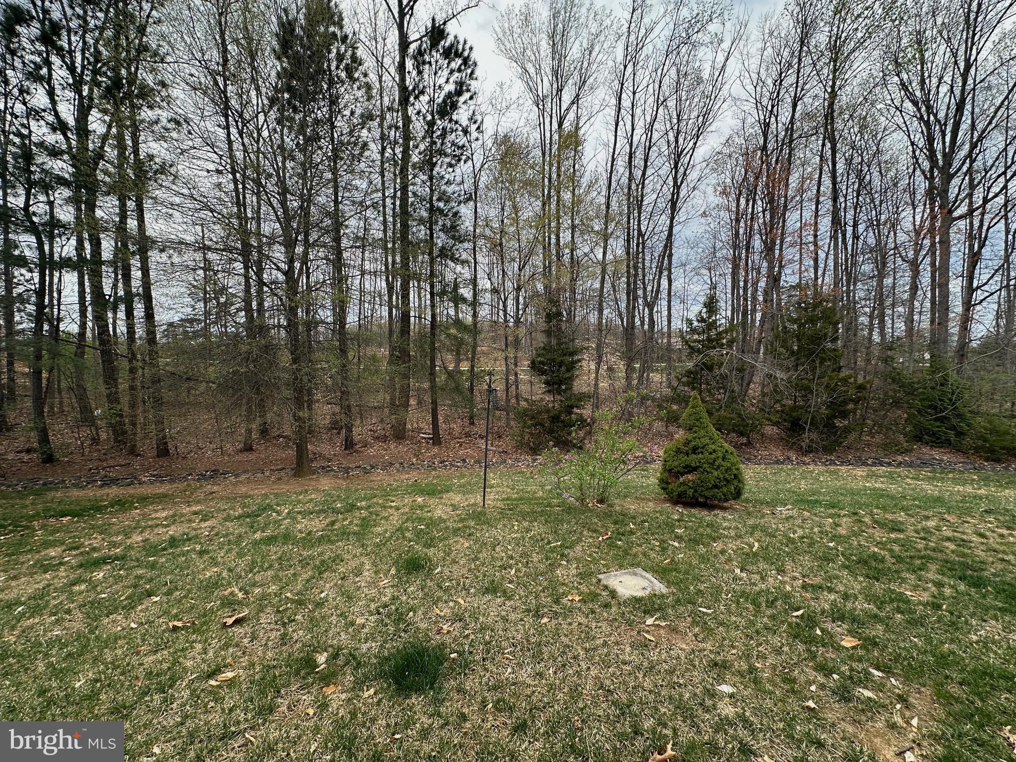 FOUR SEASONS IN HISTORIC VIRGINIA - Residential