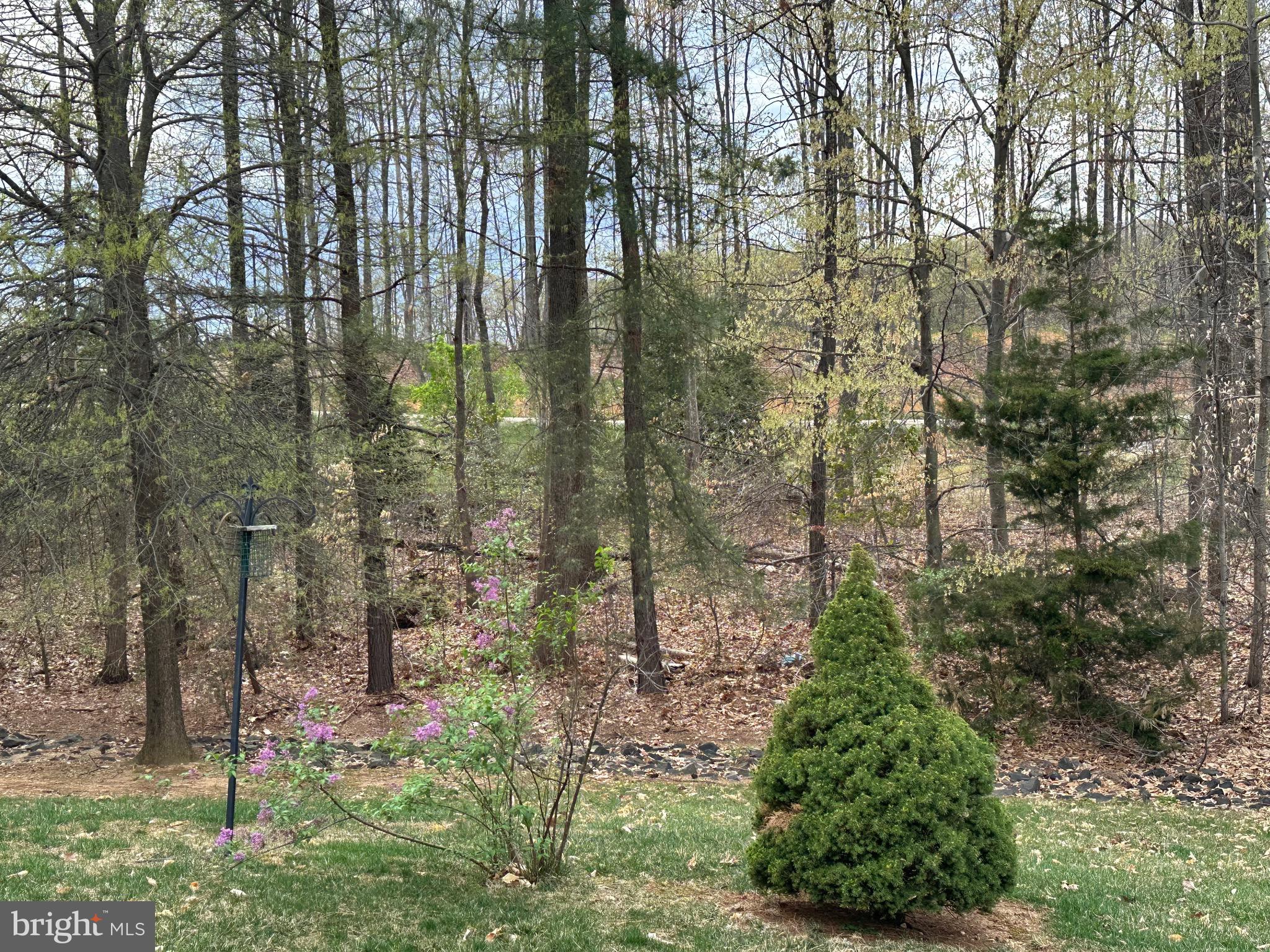 FOUR SEASONS IN HISTORIC VIRGINIA - Residential