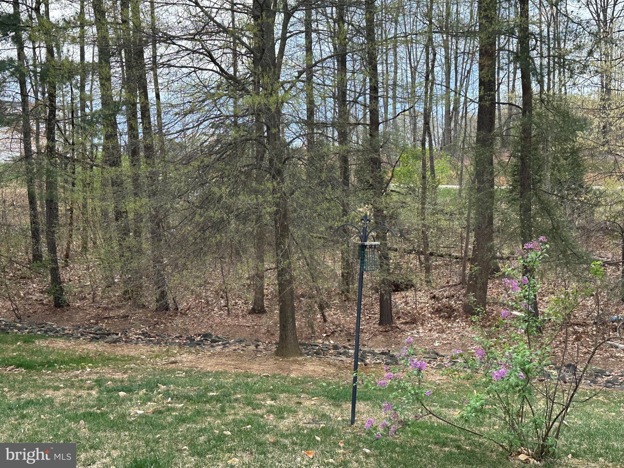 FOUR SEASONS IN HISTORIC VIRGINIA - Residential