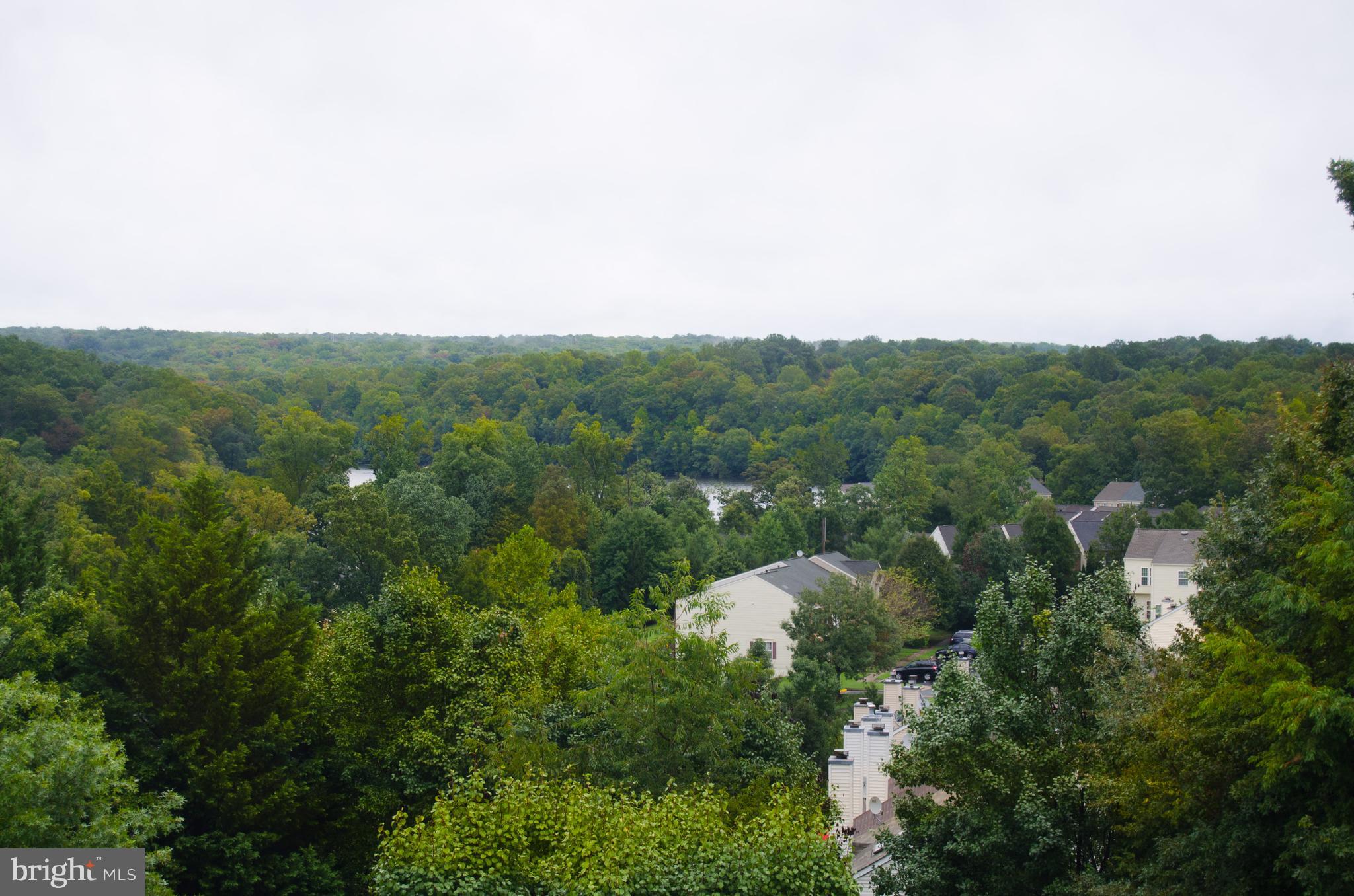 LAKE RIDGE POINTE CONDO - Residential