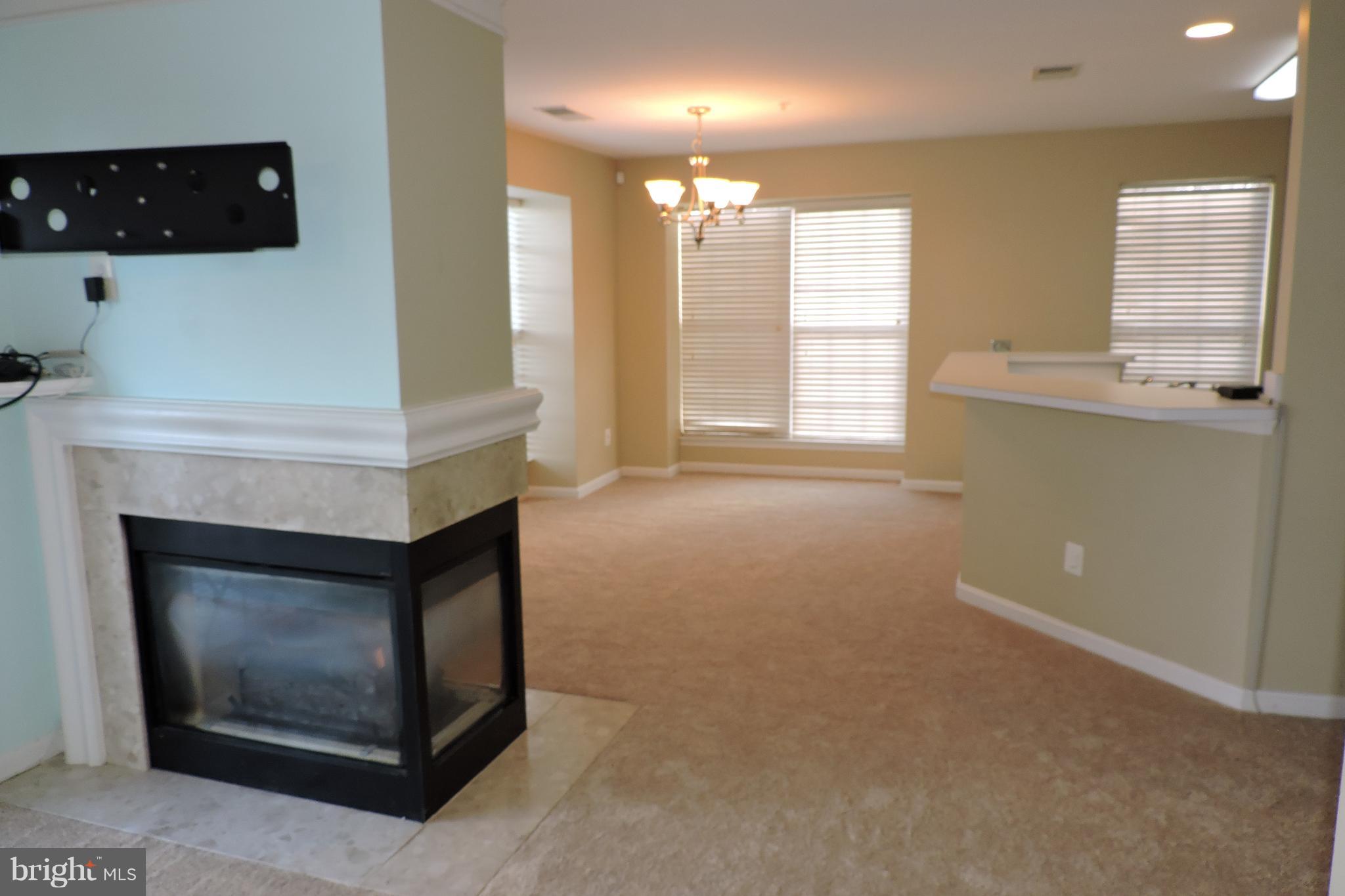 LAKE RIDGE POINTE CONDO - Residential