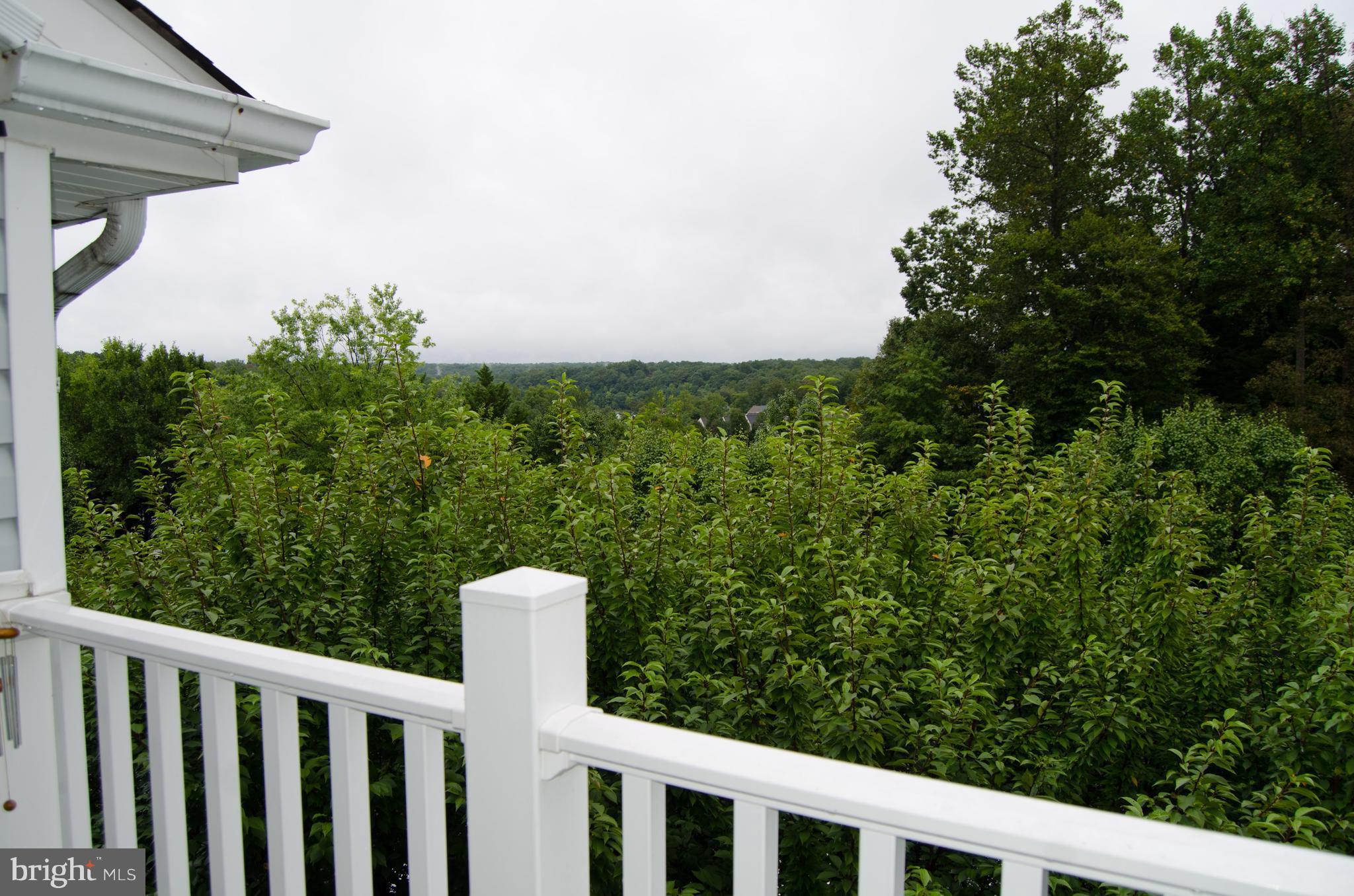 LAKE RIDGE POINTE CONDO - Residential