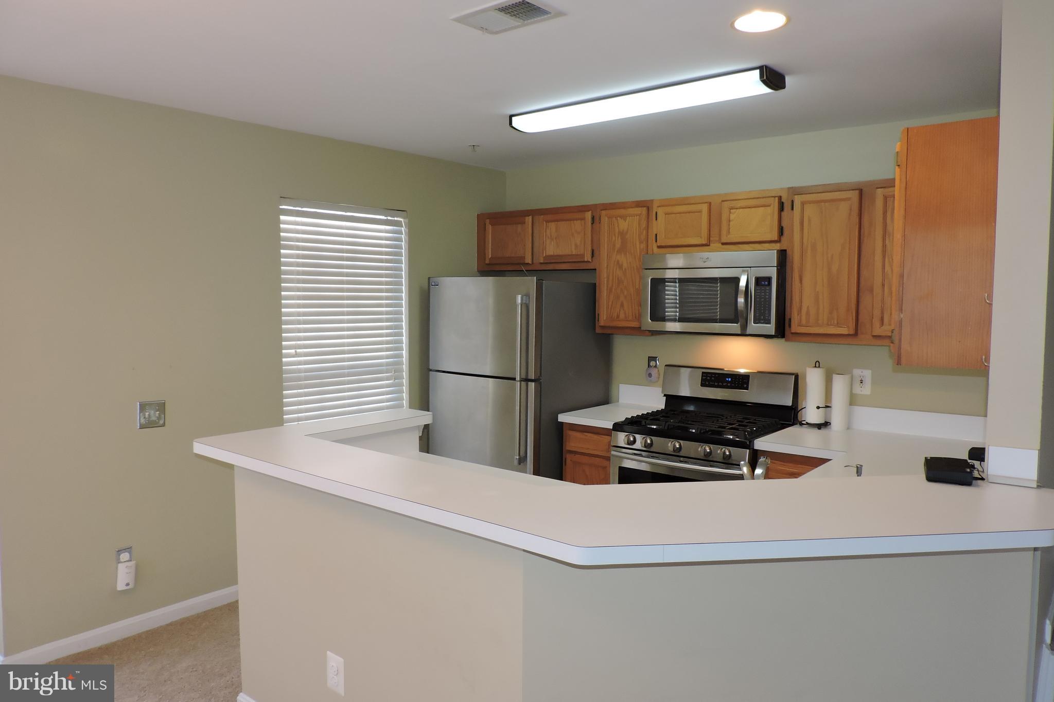 LAKE RIDGE POINTE CONDO - Residential