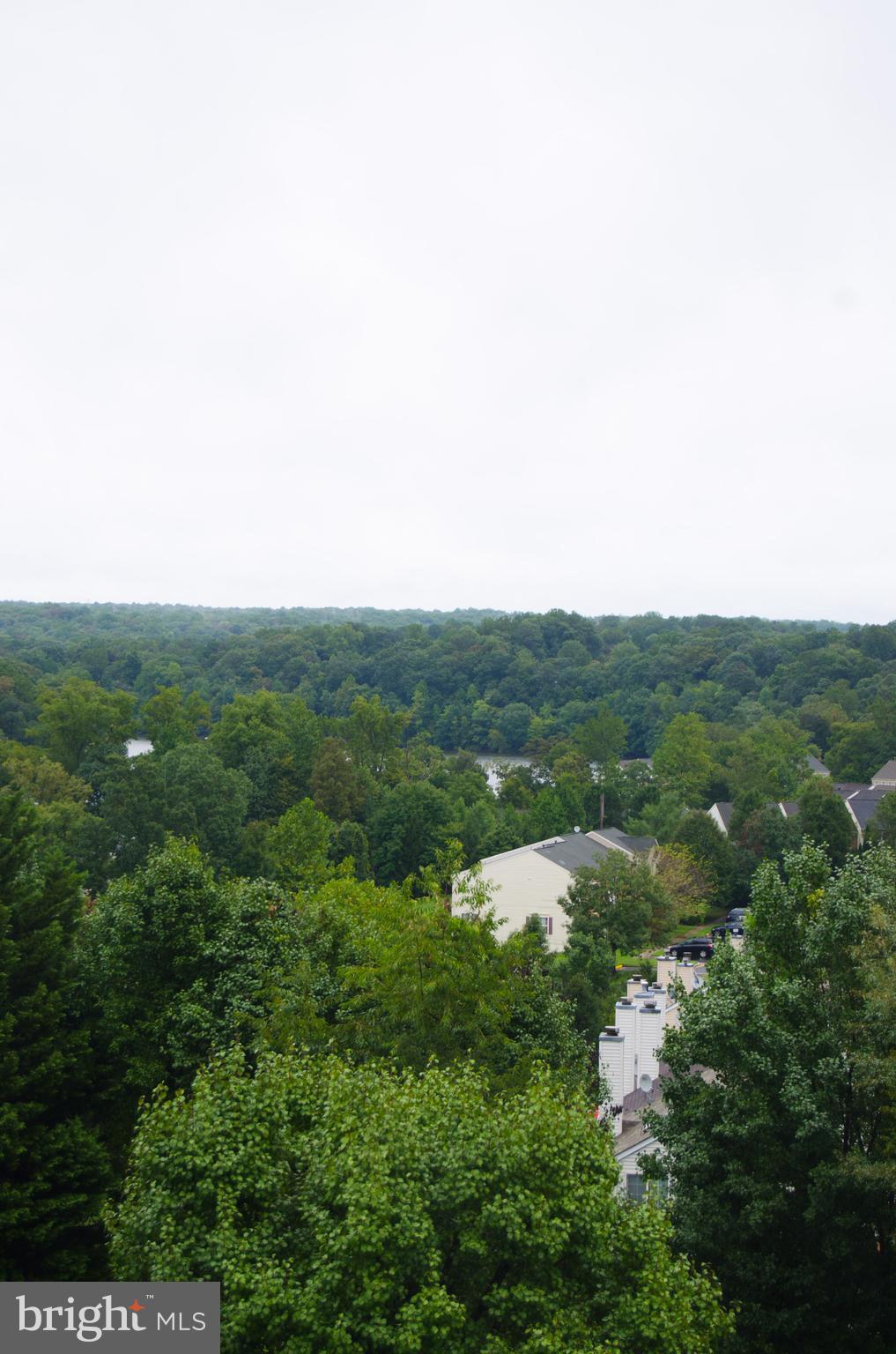 LAKE RIDGE POINTE CONDO - Residential