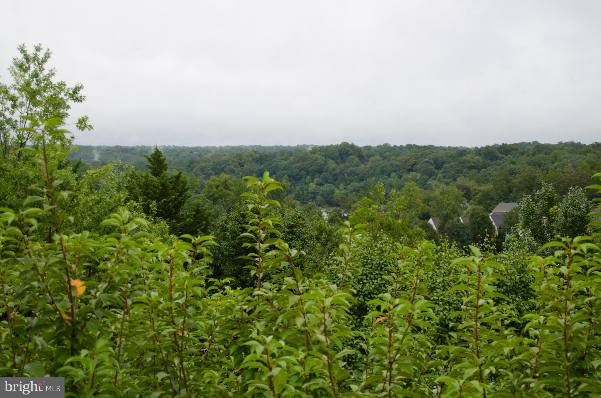 LAKE RIDGE POINTE CONDO - Residential