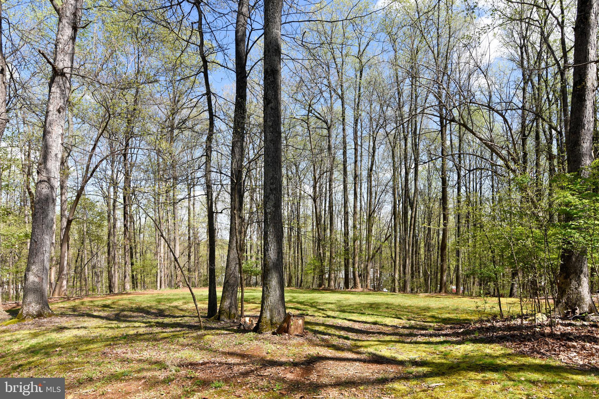 BALDWIN RIDGE - Residential