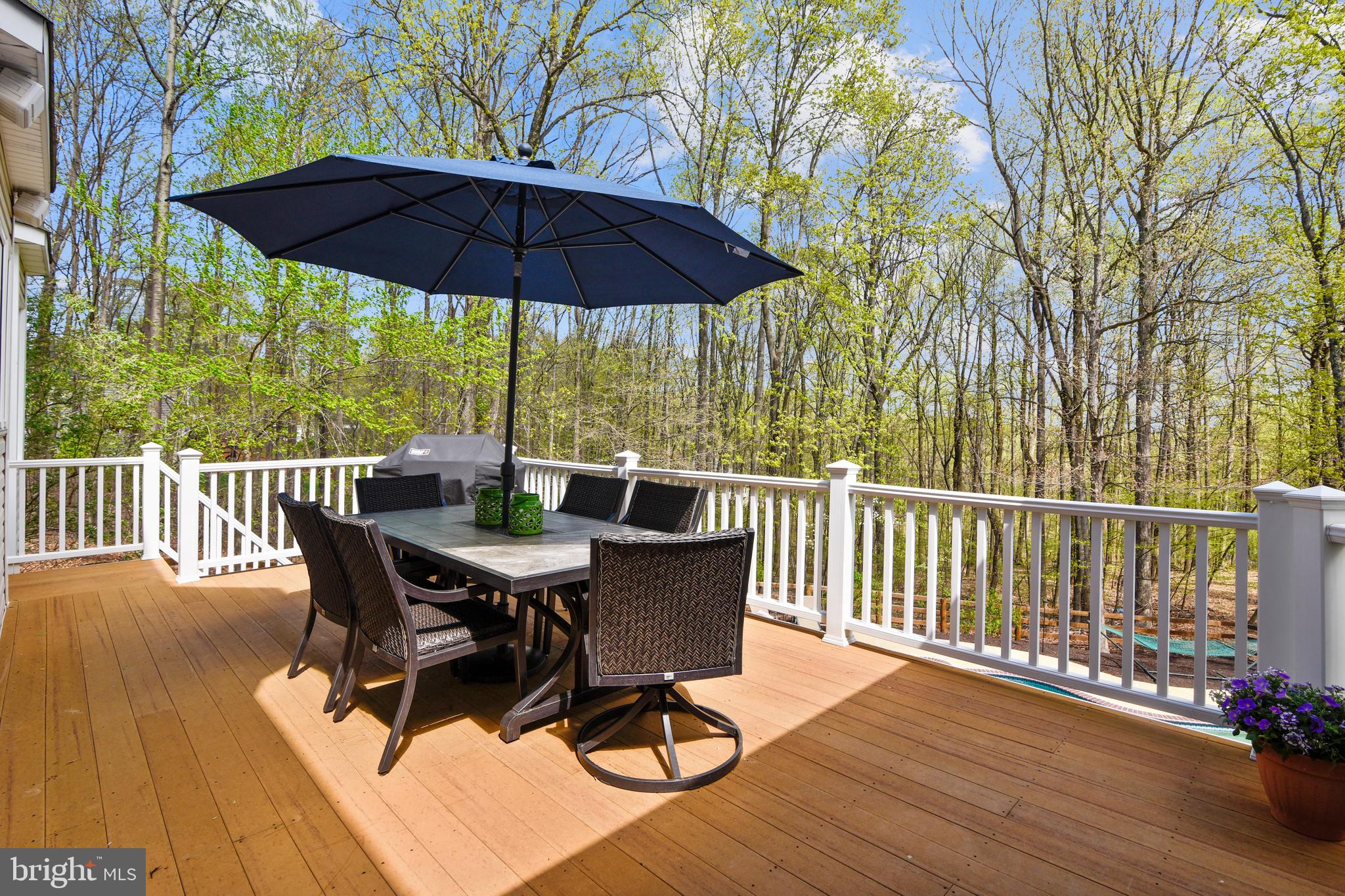 BALDWIN RIDGE - Residential