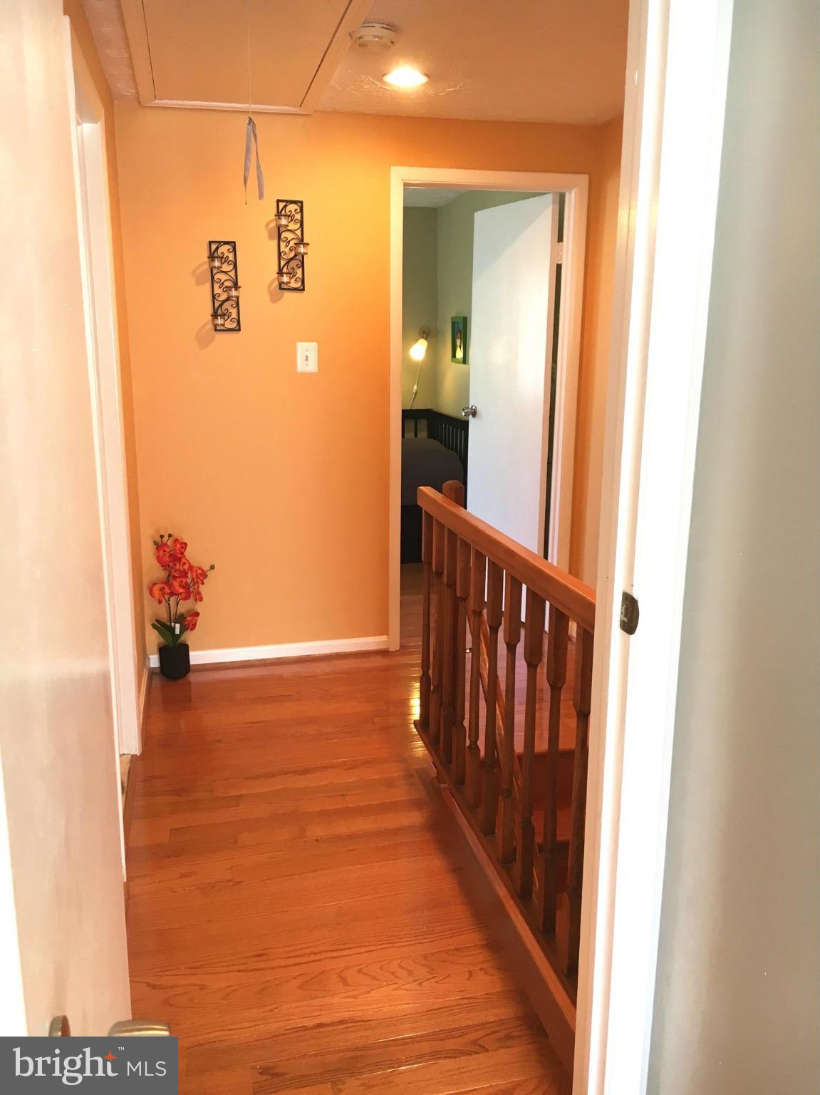 LITTLE ROCKY RUN - Residential