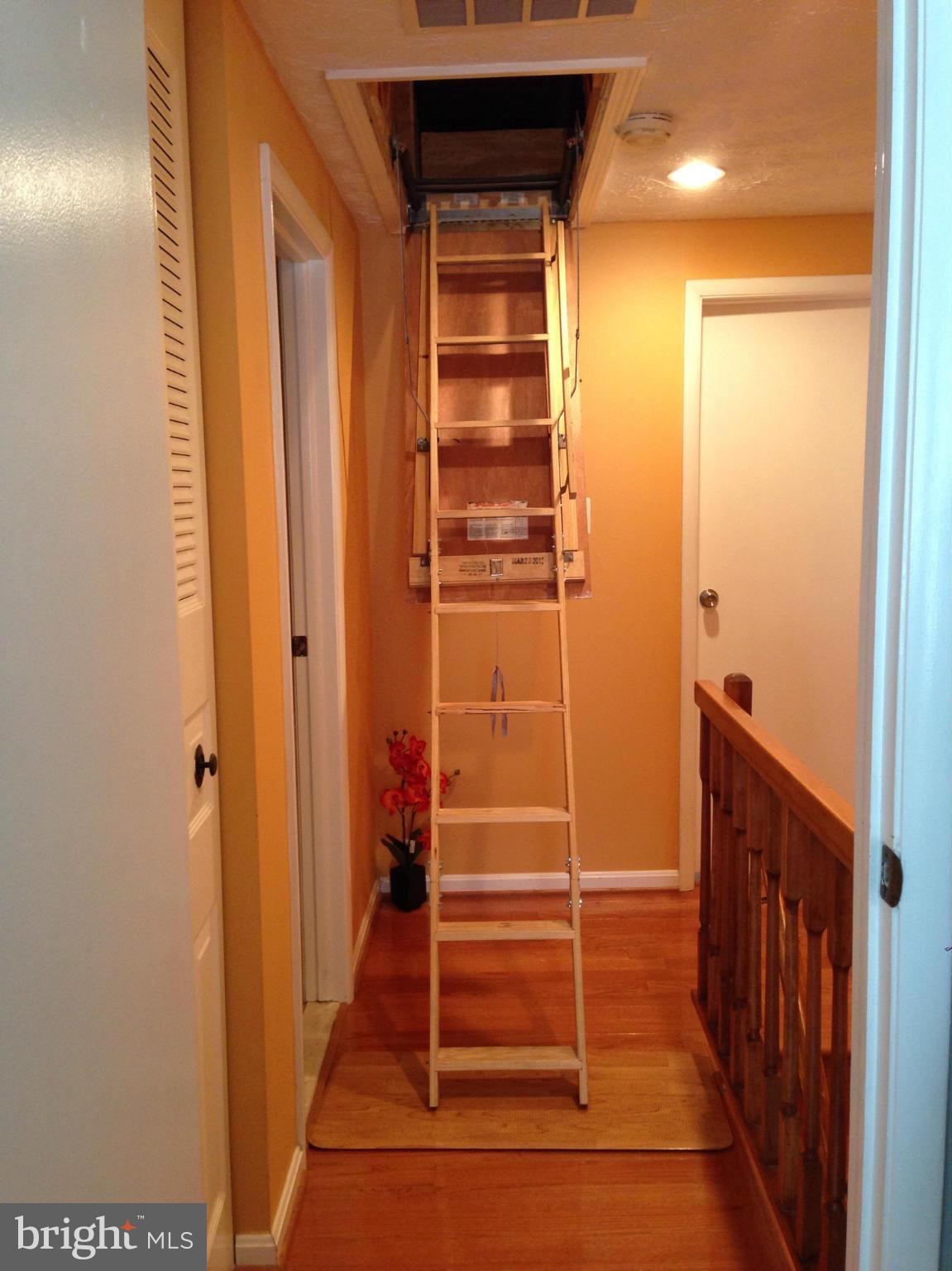 LITTLE ROCKY RUN - Residential