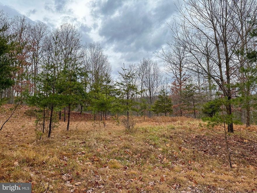 Buildable, secluded land with mountain views, tucked away in Mineral County! This property has been perc tested, has a building site and with very little TLC it will be ready to build the home of your dreams on! This property is located only 20 minutes from Northrop Grumman, IBM, American Woodmark and is only 13 miles to Cumberland, MD, where there's plenty of dining, shopping, entertainment and more!