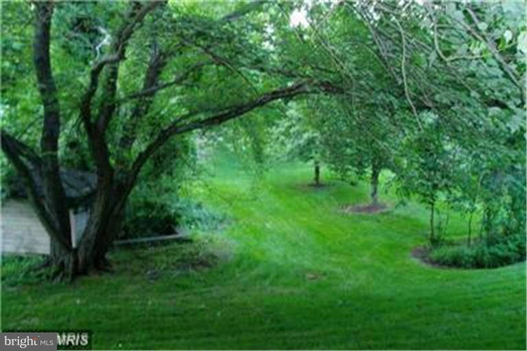 TYSONS VILLAGE - Residential Lease