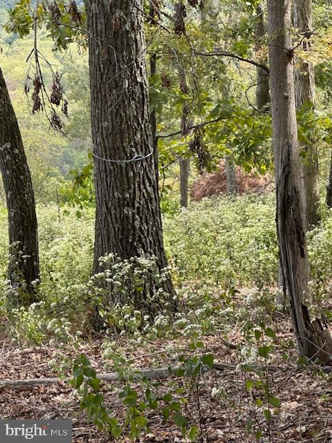 VALLEY HIGH TIMBER FARMS - Land