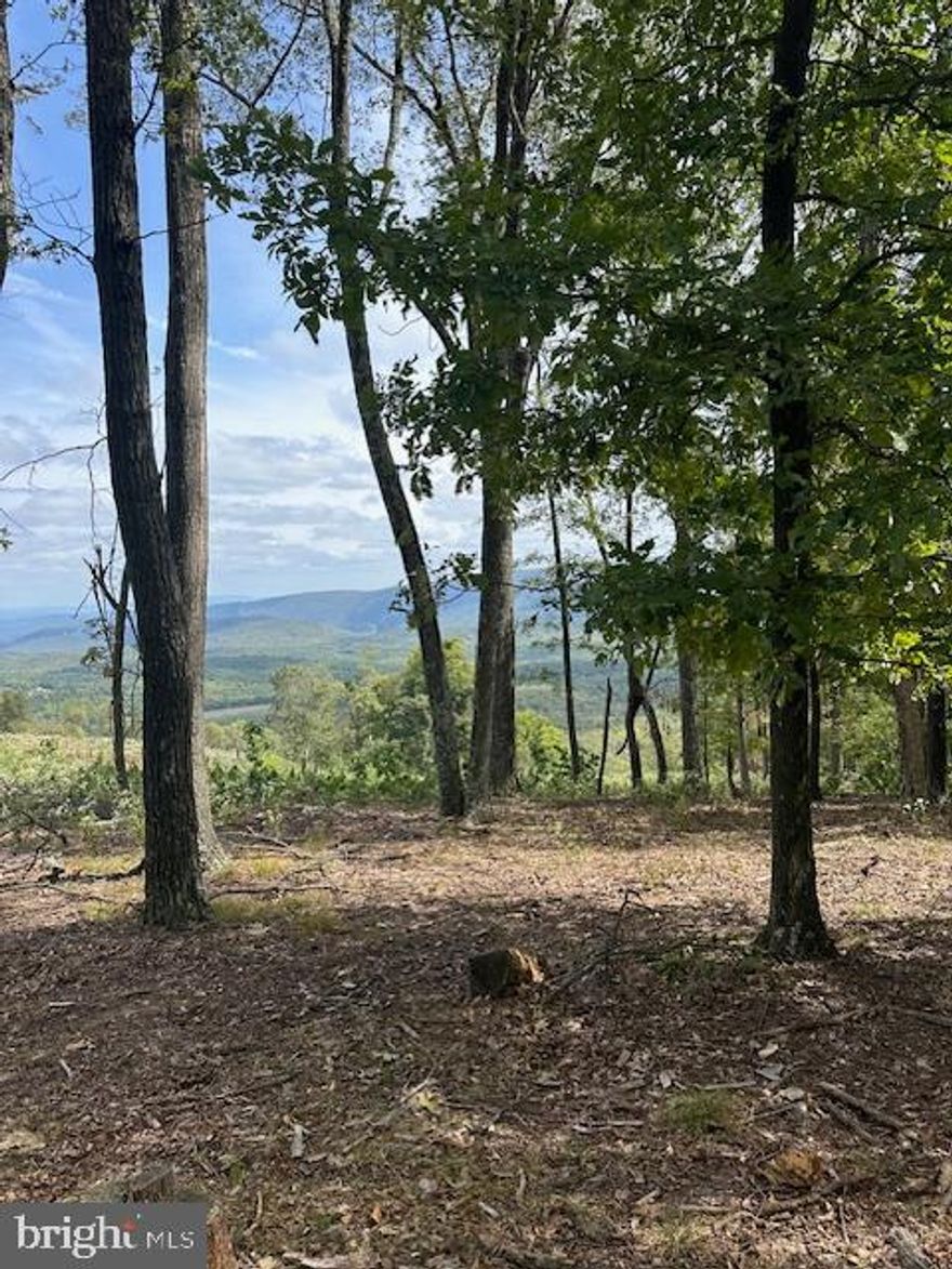 Check out the LONG RANGE VIEWS from this mostly level 5 acre parcel on Detour Rd in Great Cacapon WV.  That's an unrestricted 5 acres.  Just in time for Hunting Season.  This lot is improved with a 3-br septic, electric, a driveway, shed, and some tree have been cleared.  Seller will consider selling the 2016 RV.  You'll have year round  access off the State Maintained Road.
