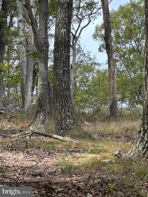 VALLEY HIGH TIMBER FARMS - Land