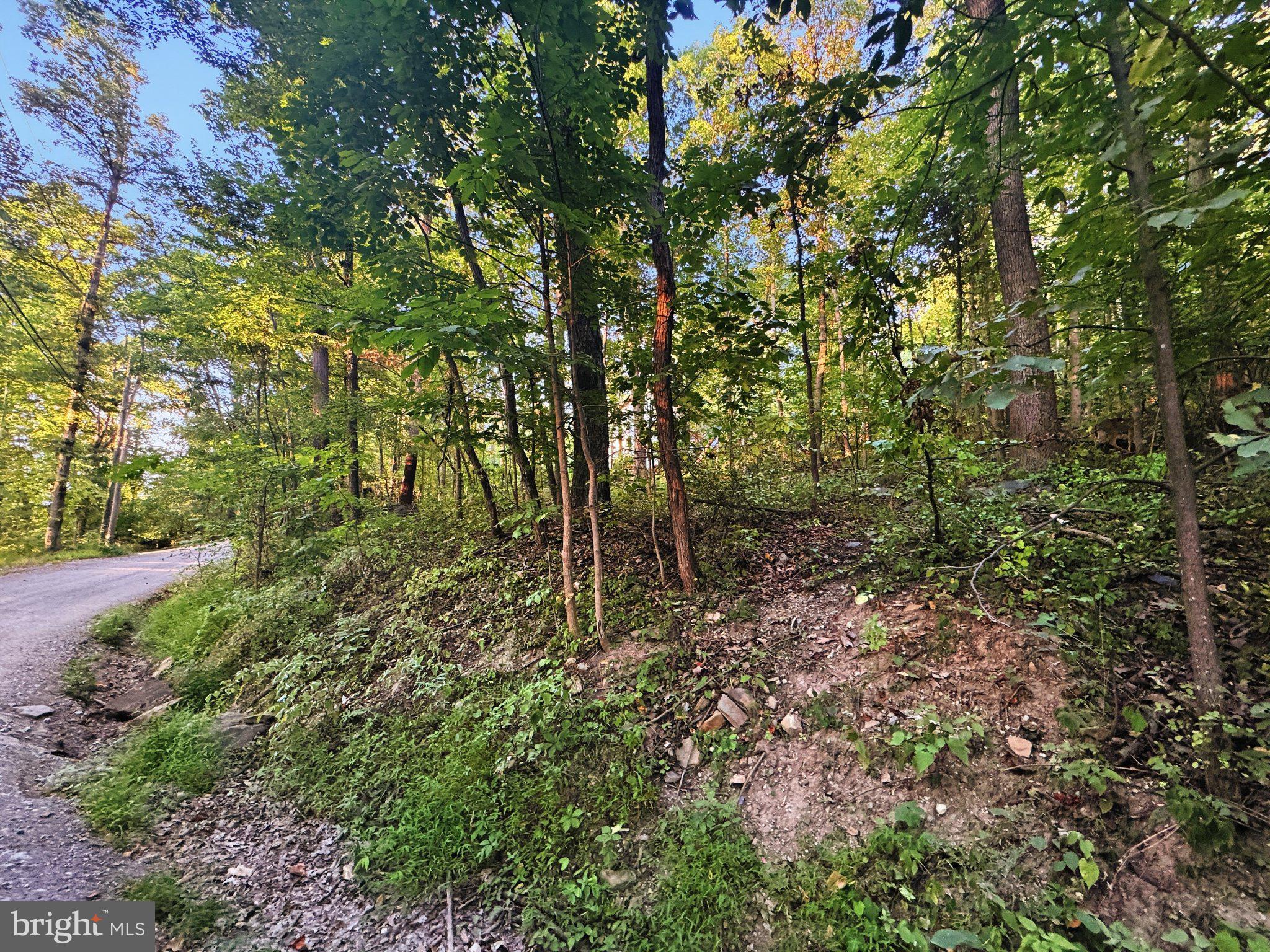 Lots 19-20 RED MAPLE LANE