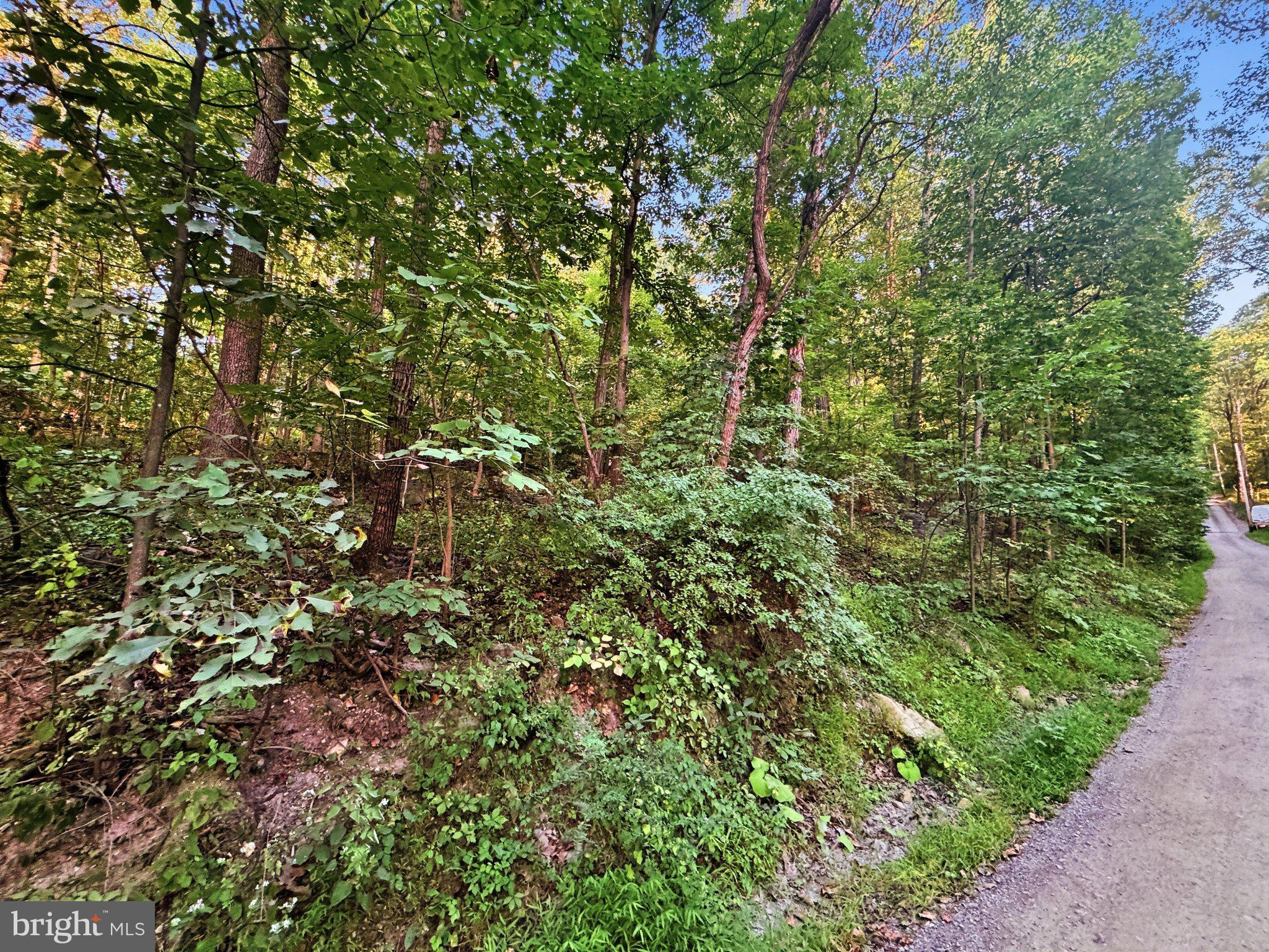 Lots 19-20 RED MAPLE LANE