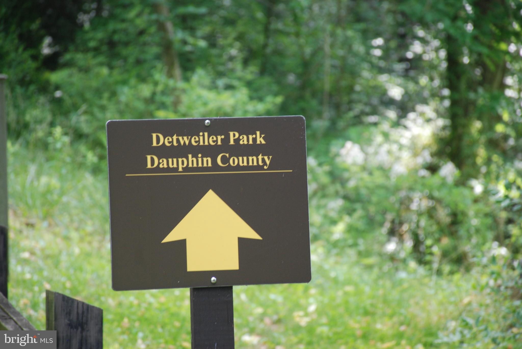 CHESTNUT HILL - Land