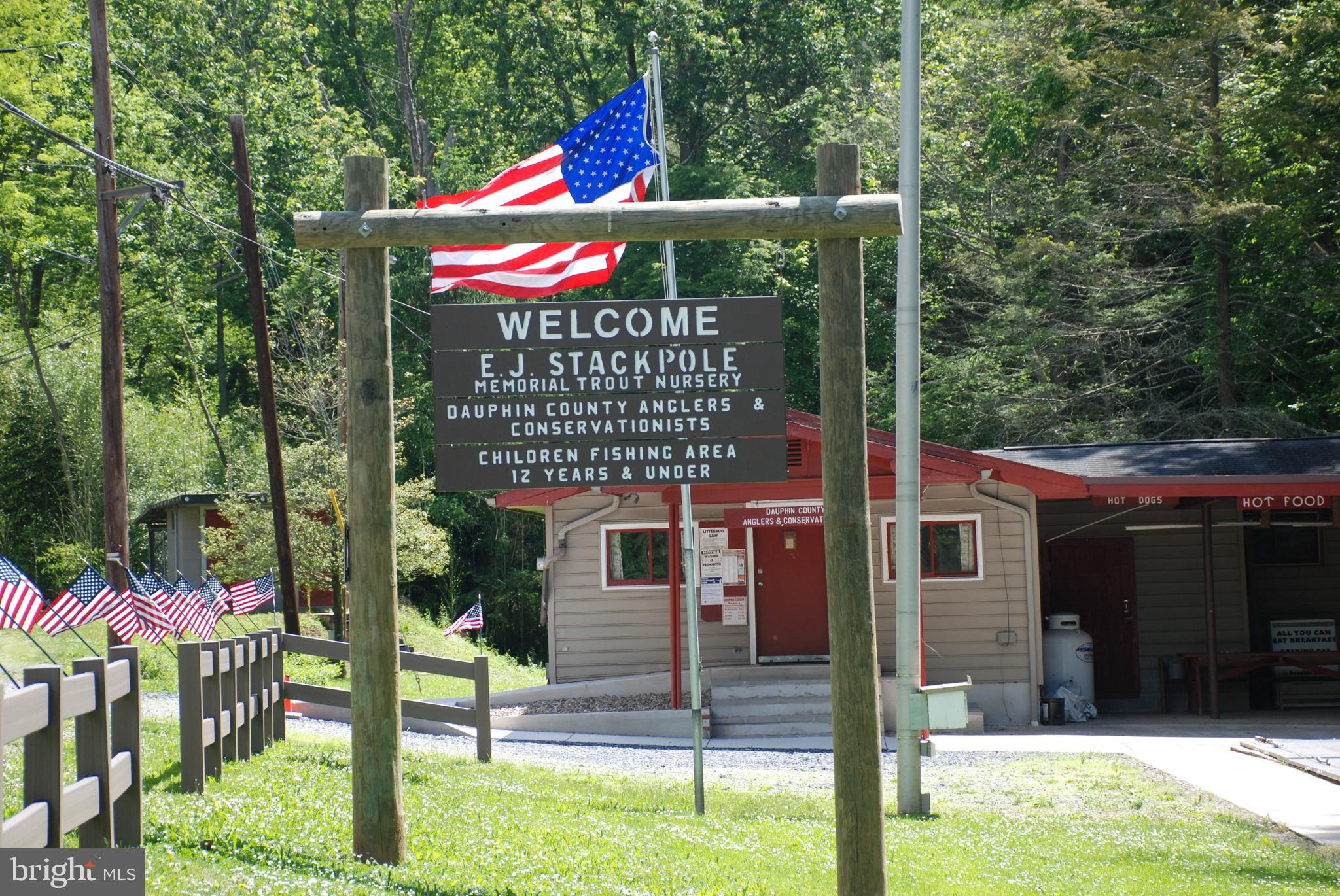 CHESTNUT HILL - Land