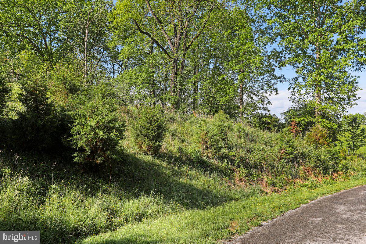 BRIAR MOUNTAIN DRIVE LOT 9