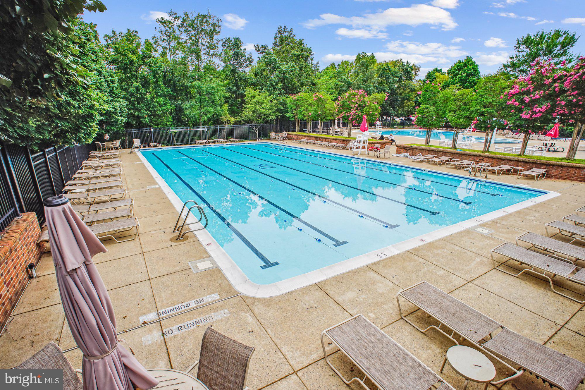 DOMINION STATION - Residential Lease