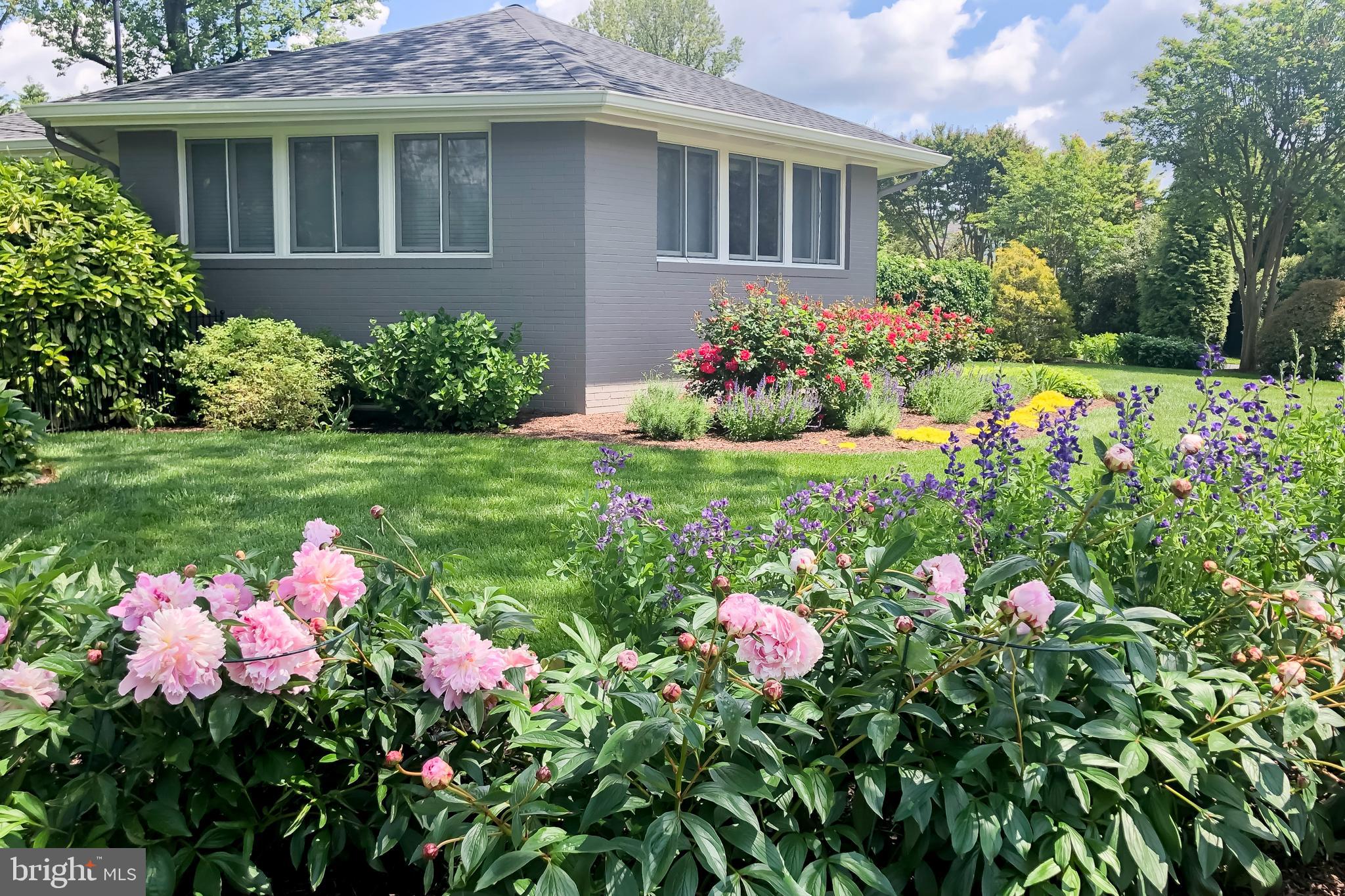 PENDENNIS MOUNT - Residential