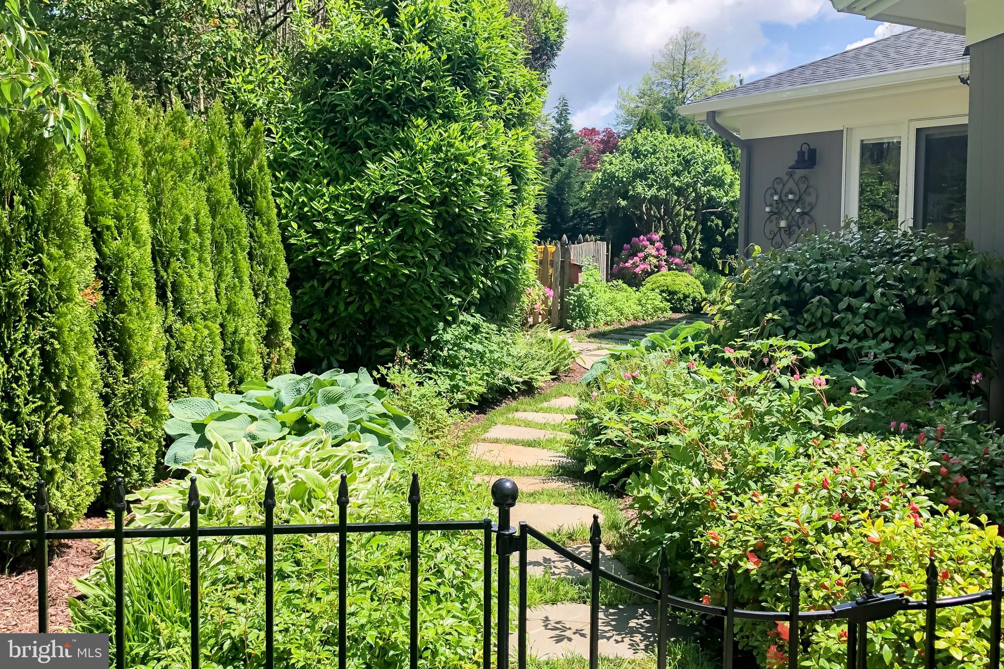 PENDENNIS MOUNT - Residential