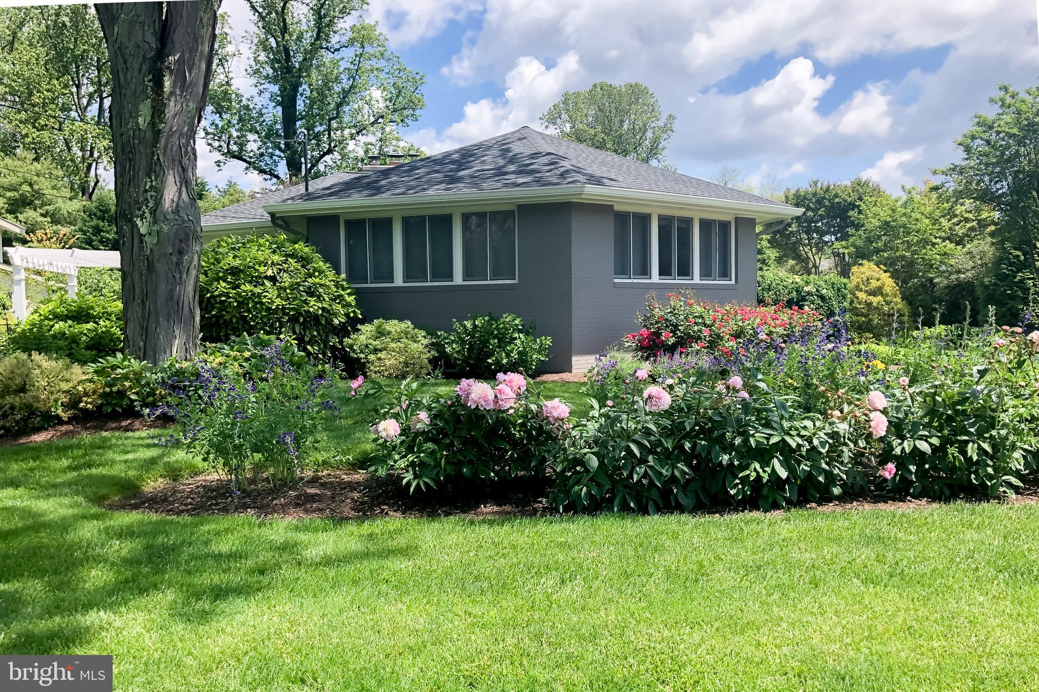 PENDENNIS MOUNT - Residential