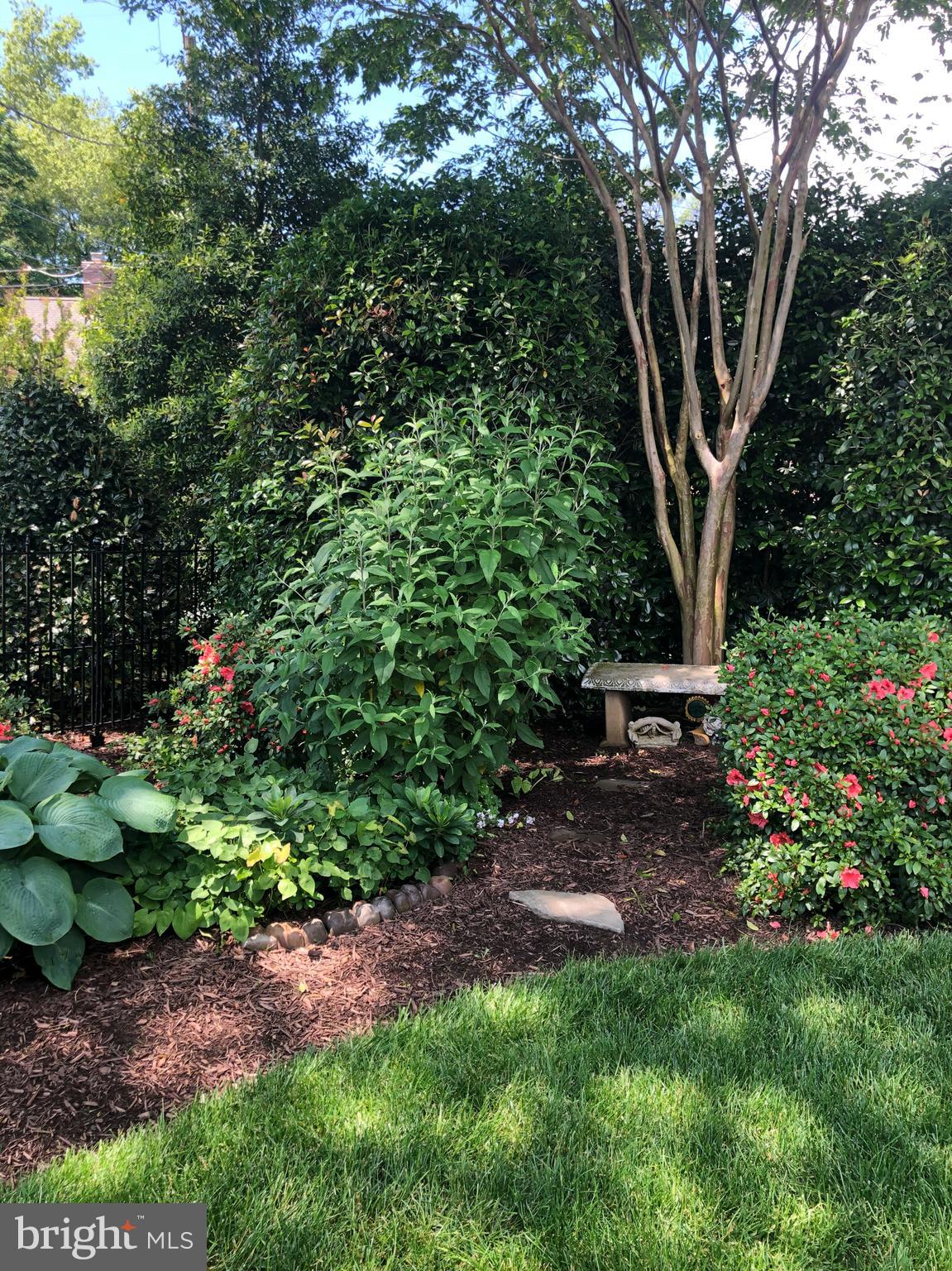 PENDENNIS MOUNT - Residential