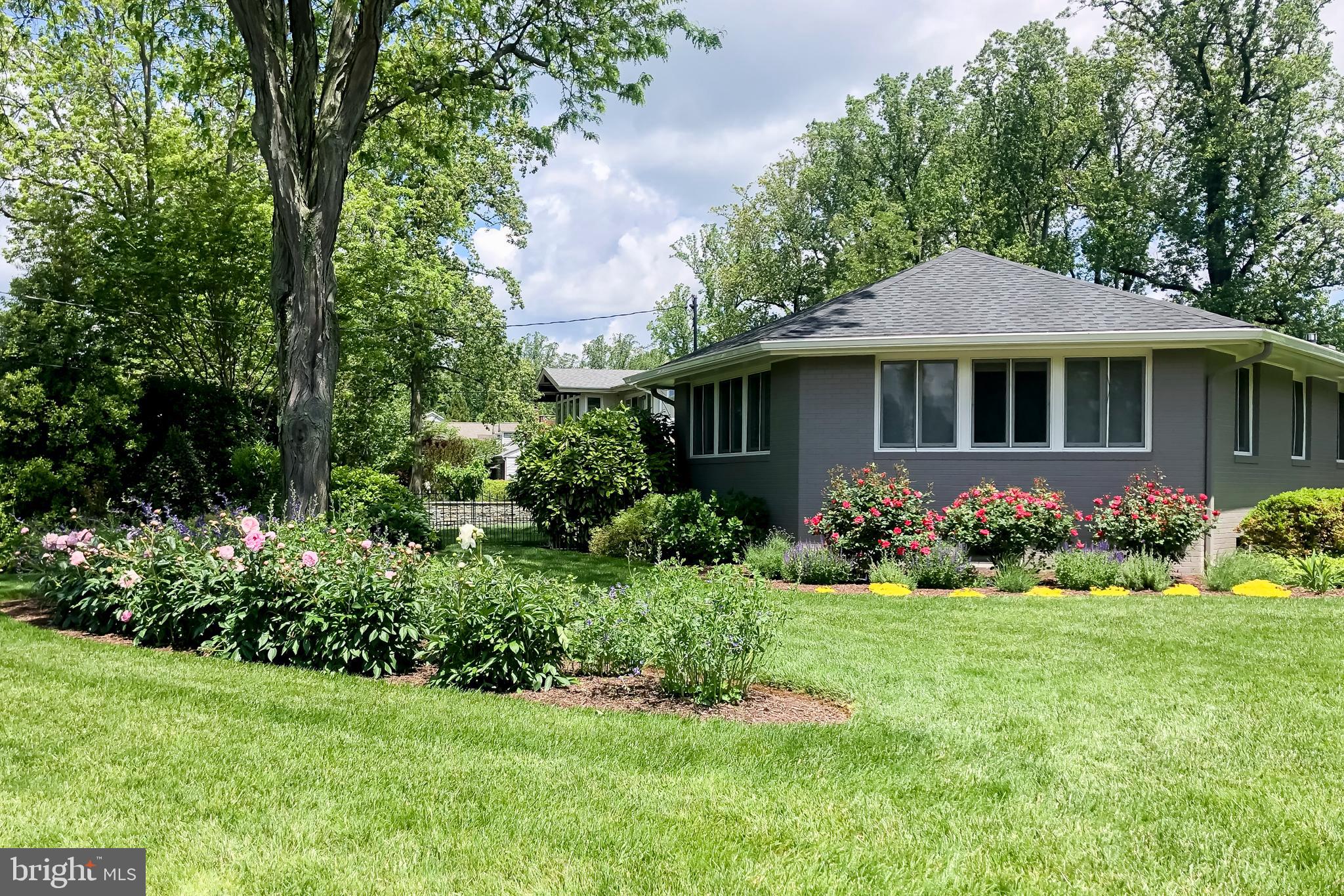 PENDENNIS MOUNT - Residential