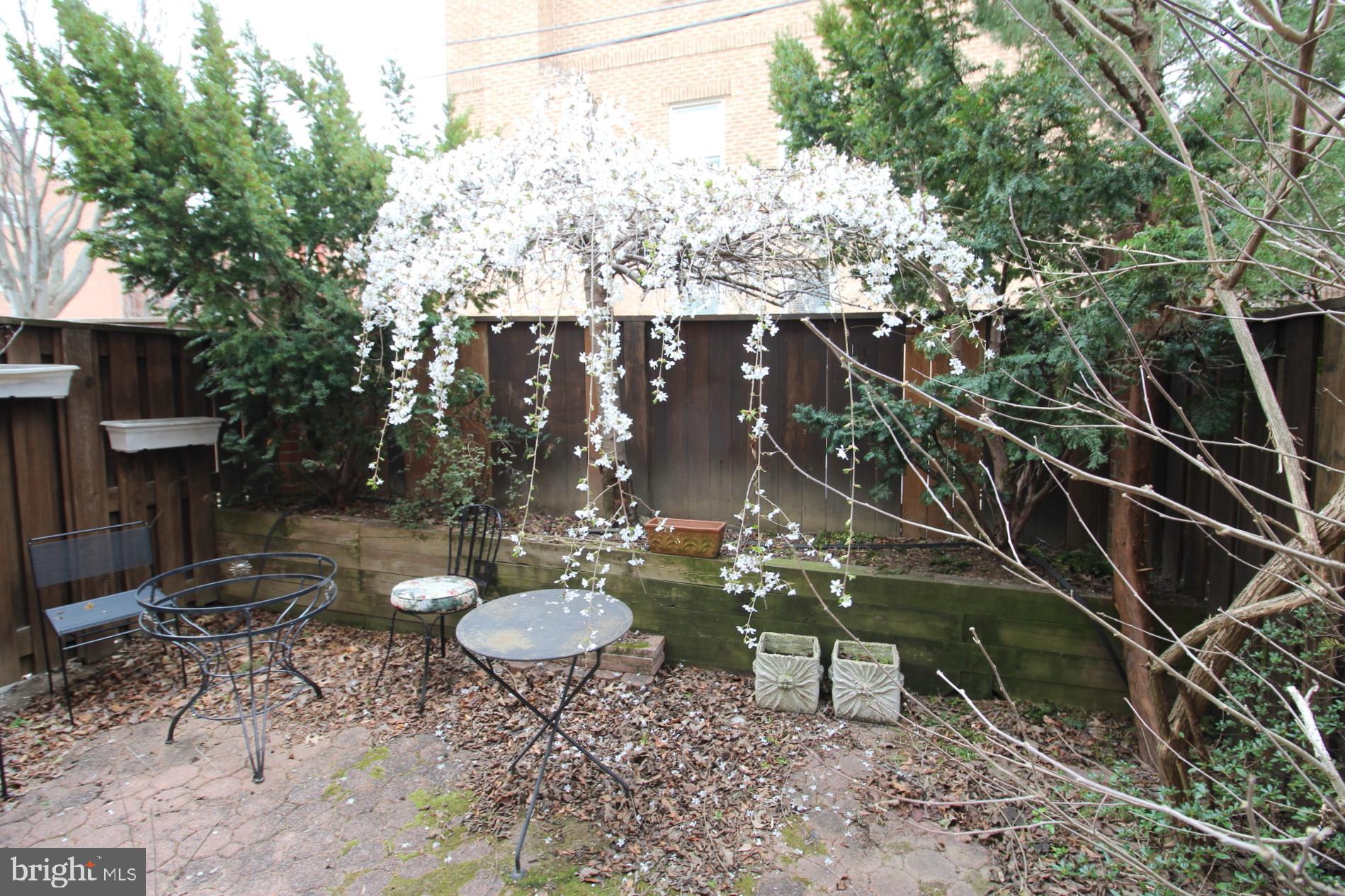 BALLSTON - Residential Lease