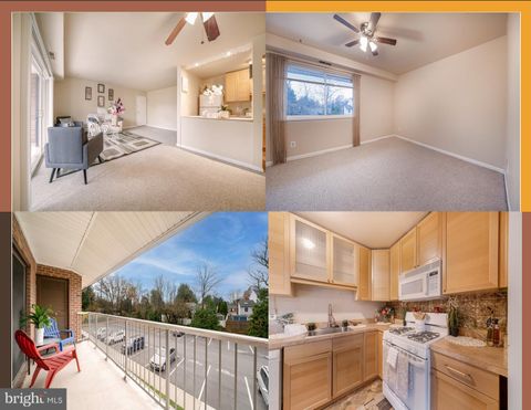 105 FITZ COURT 202 REISTERSTOWN MD 21136