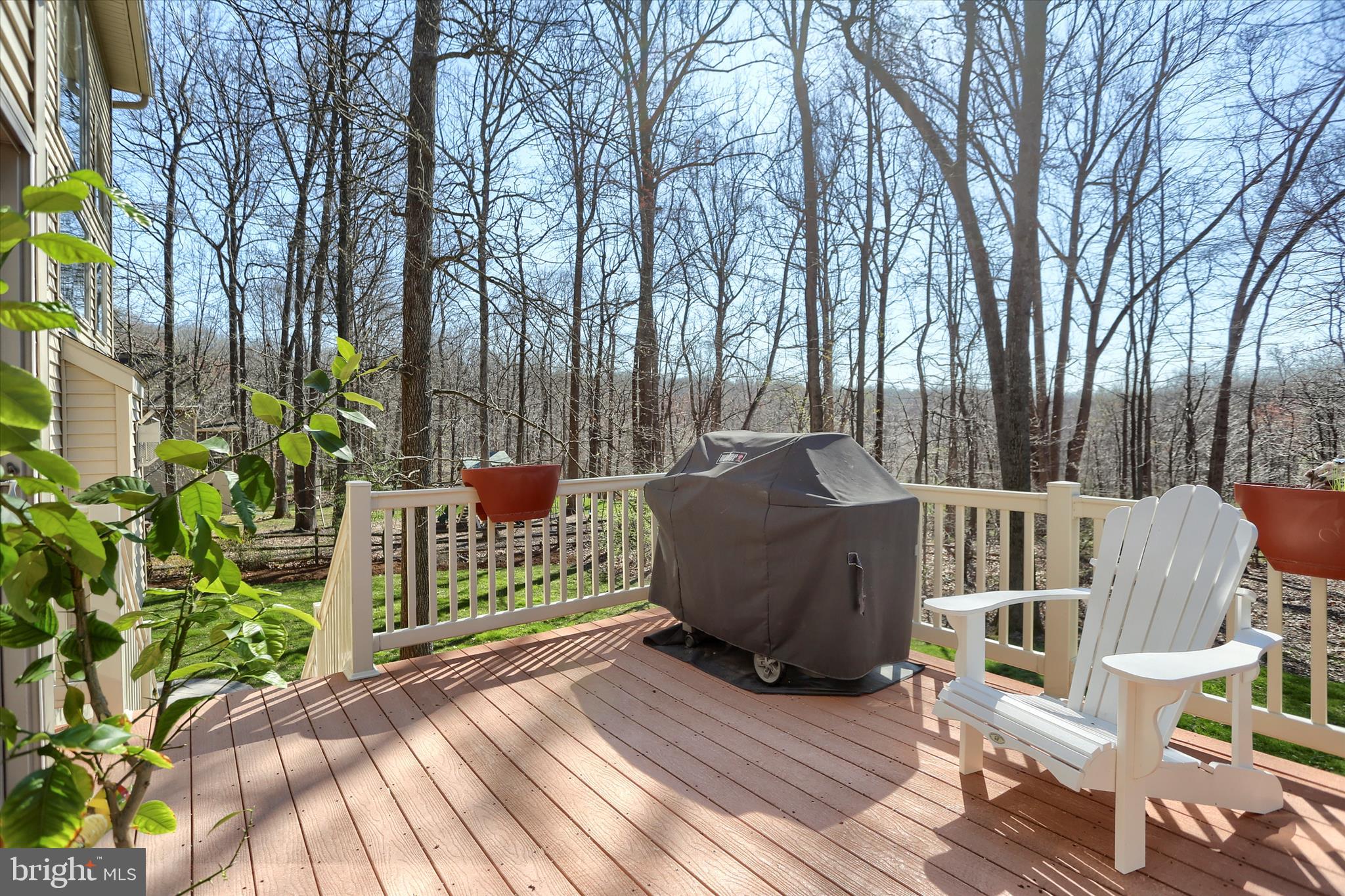 ESTATES OF FOREST RIDGE - Residential