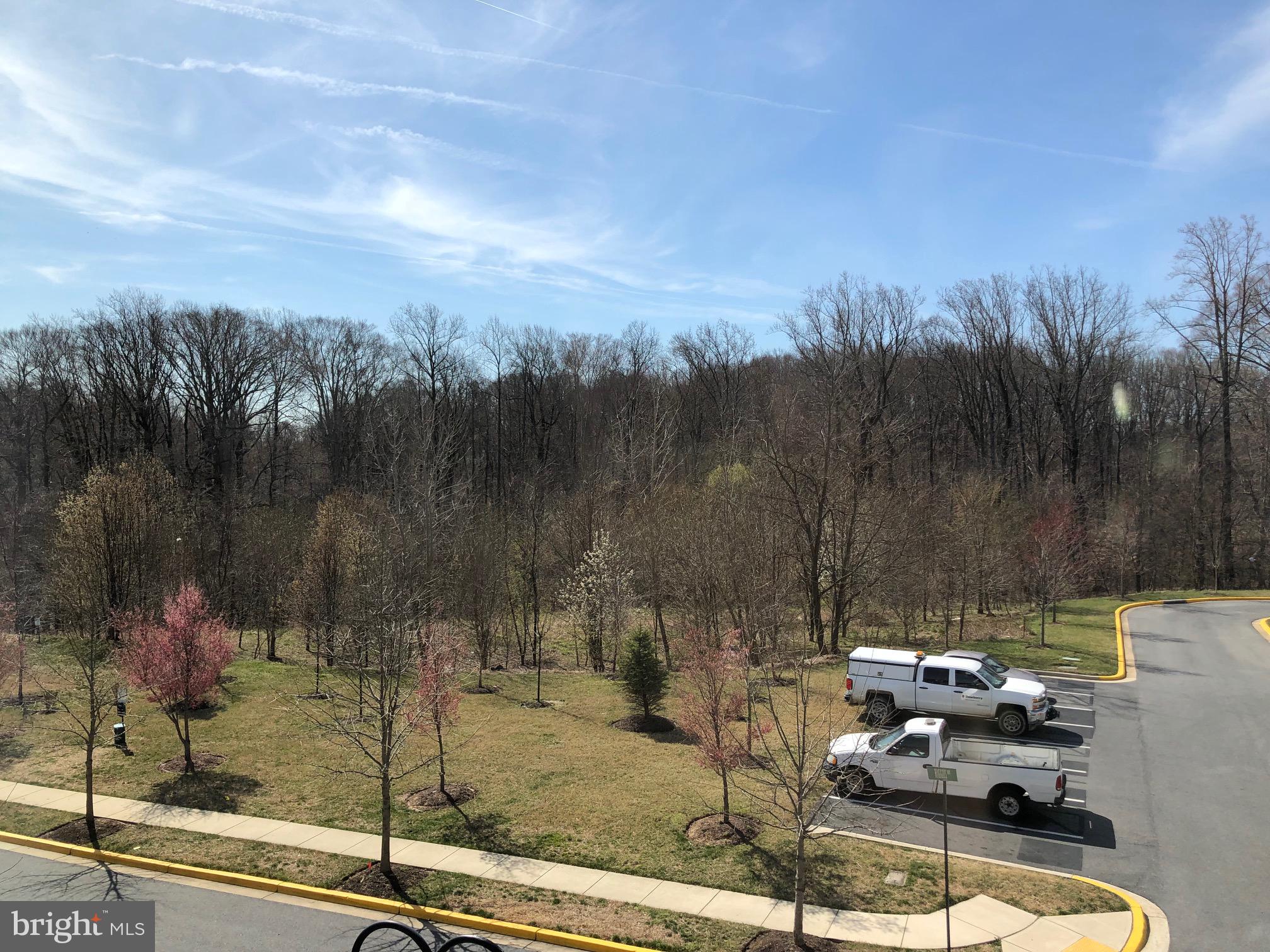 SUMMERFIELD AT MORGAN ST - Residential