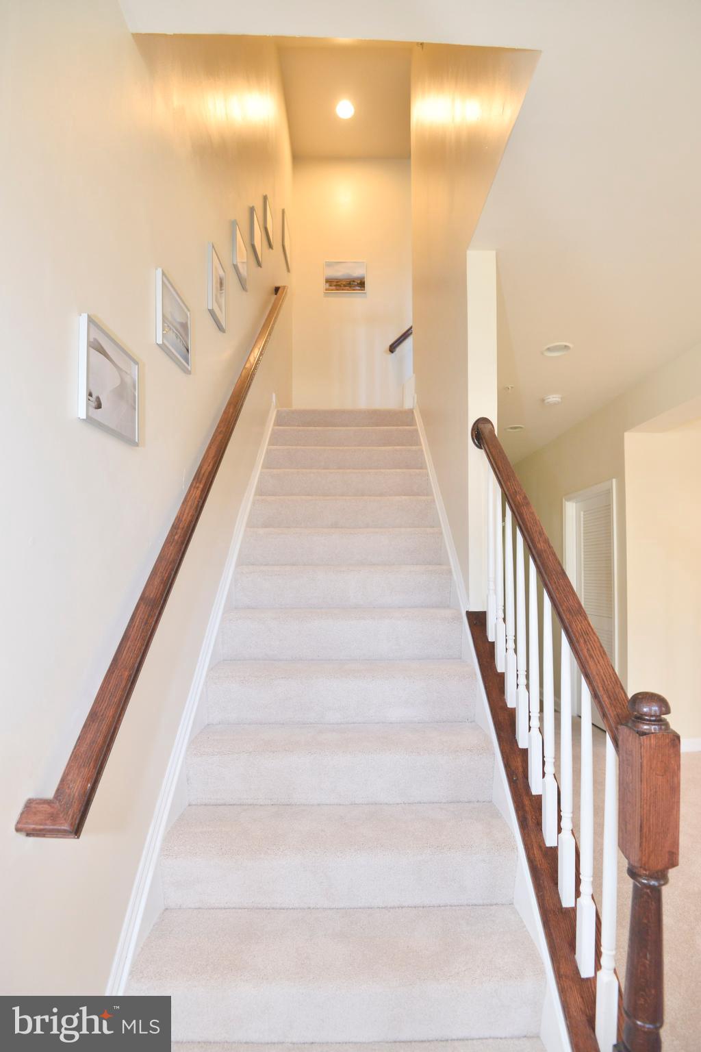 SUMMERFIELD AT MORGAN ST - Residential