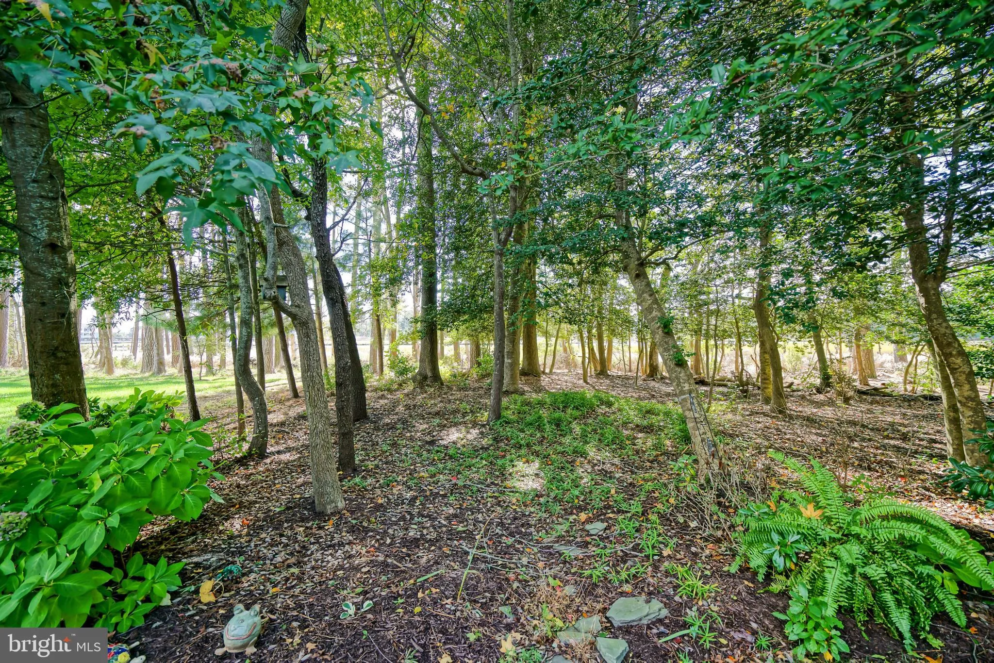 Lewes, Delaware 19958, United States, 4 Bedrooms Bedrooms, ,3 BathroomsBathrooms,Residential,Active,232098