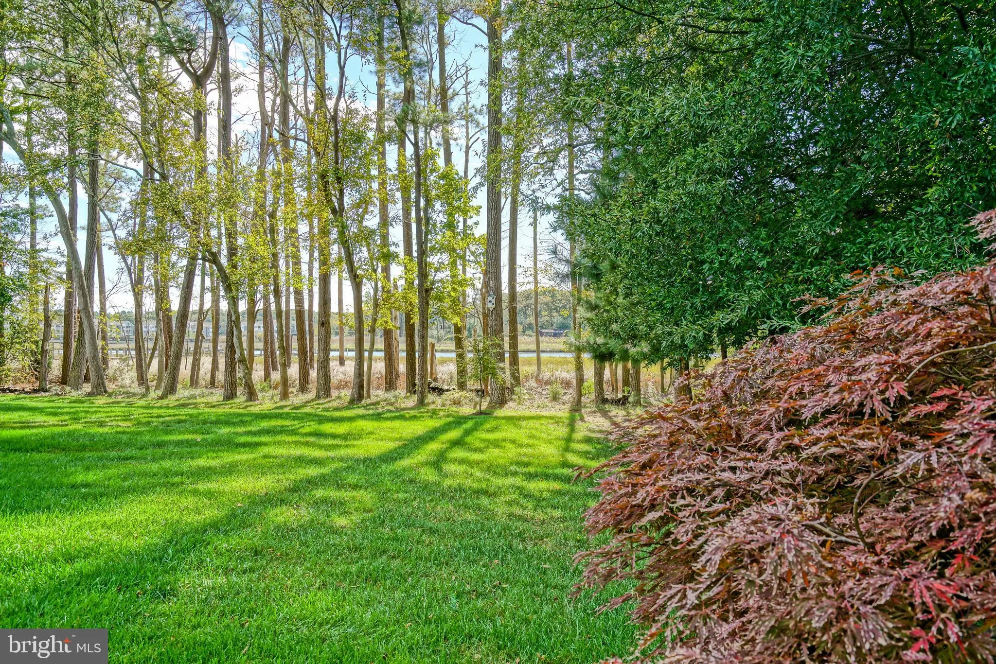 Lewes, Delaware 19958, United States, 4 Bedrooms Bedrooms, ,3 BathroomsBathrooms,Residential,Active,232098