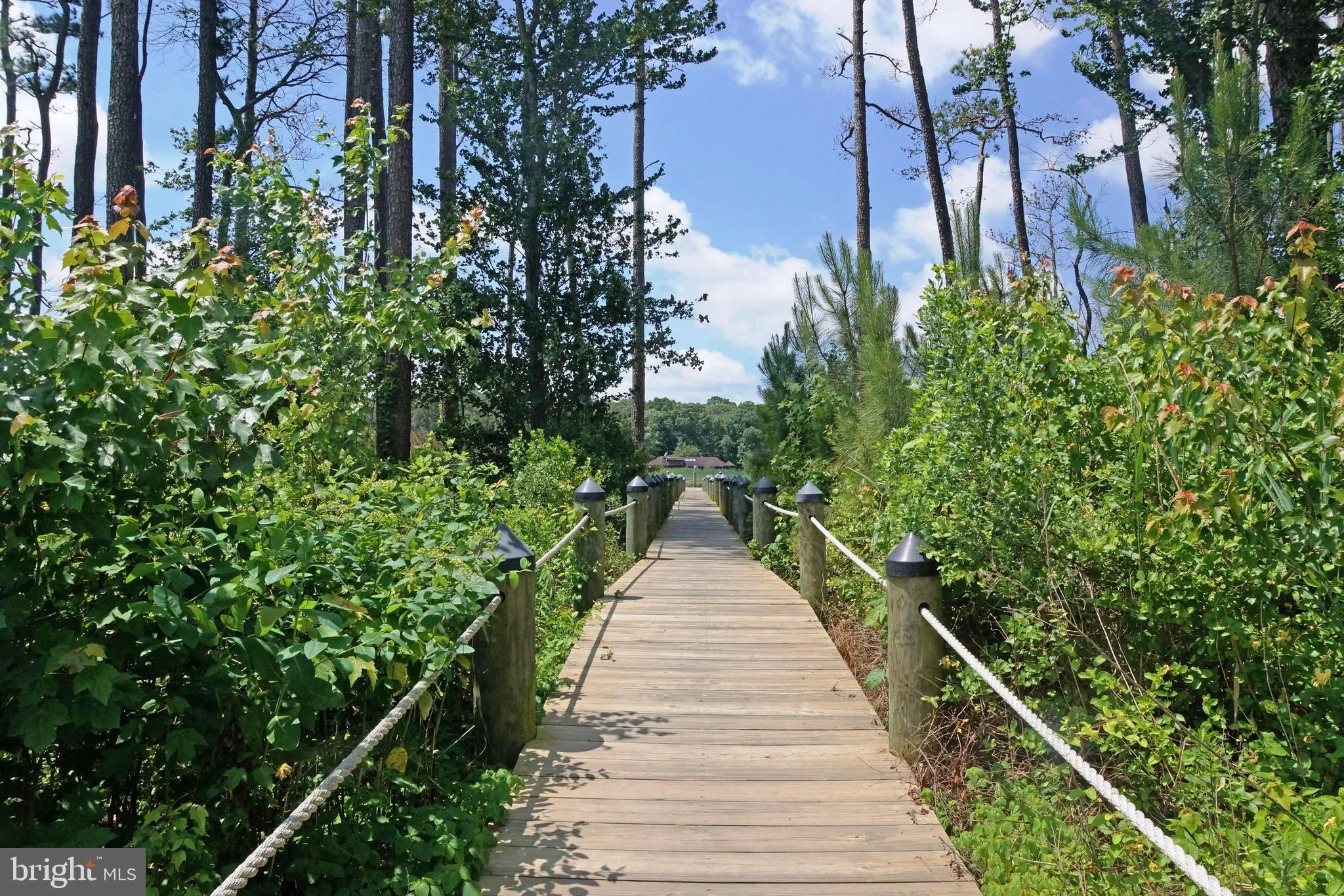 Lewes, Delaware 19958, United States, 4 Bedrooms Bedrooms, ,3 BathroomsBathrooms,Residential,Active,232098