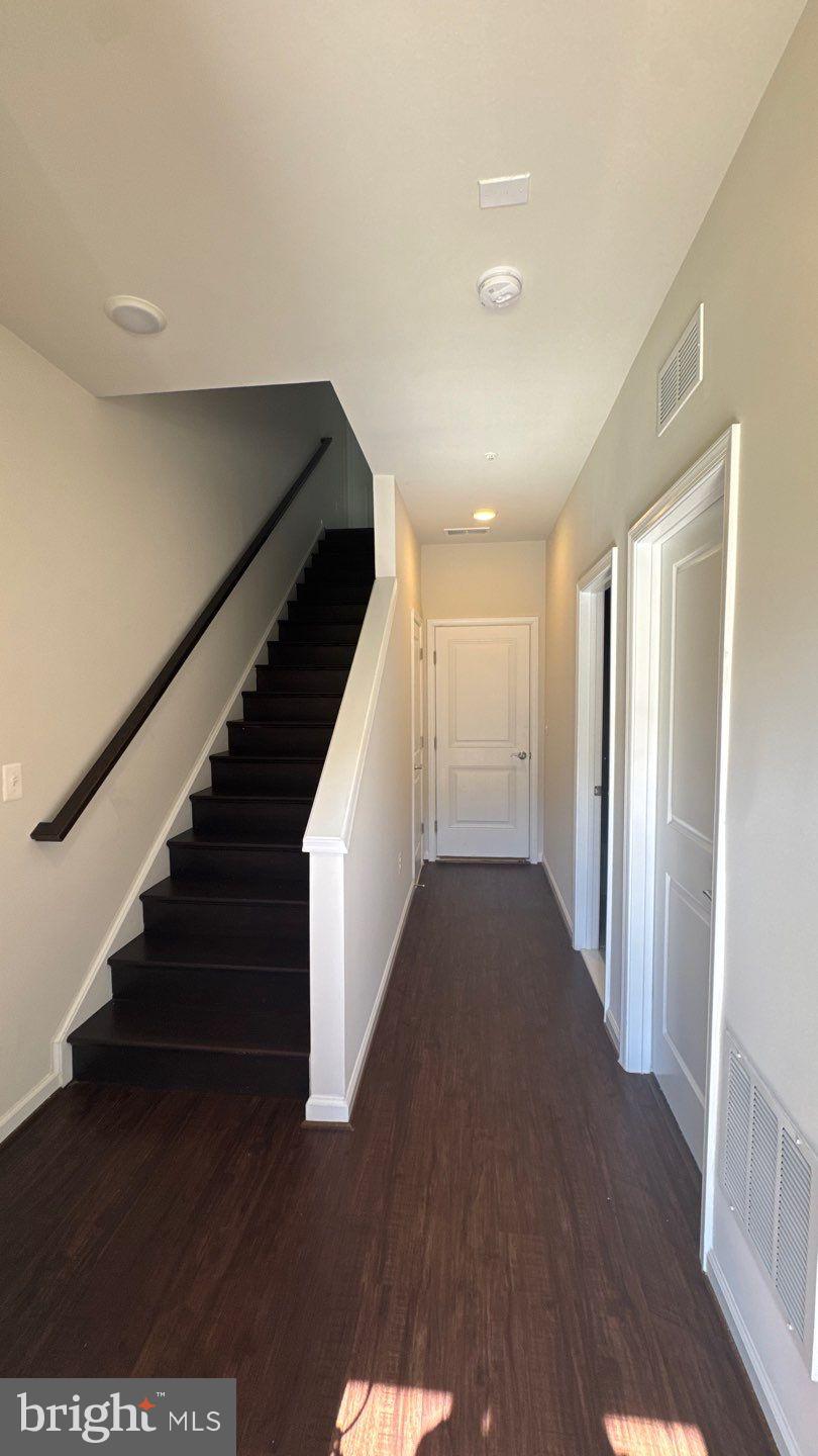 309 IBIS COURT