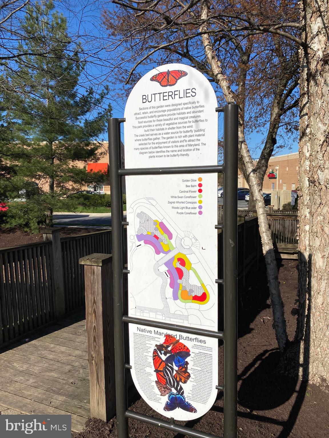 CAMELBACK VILLAGE - Residential