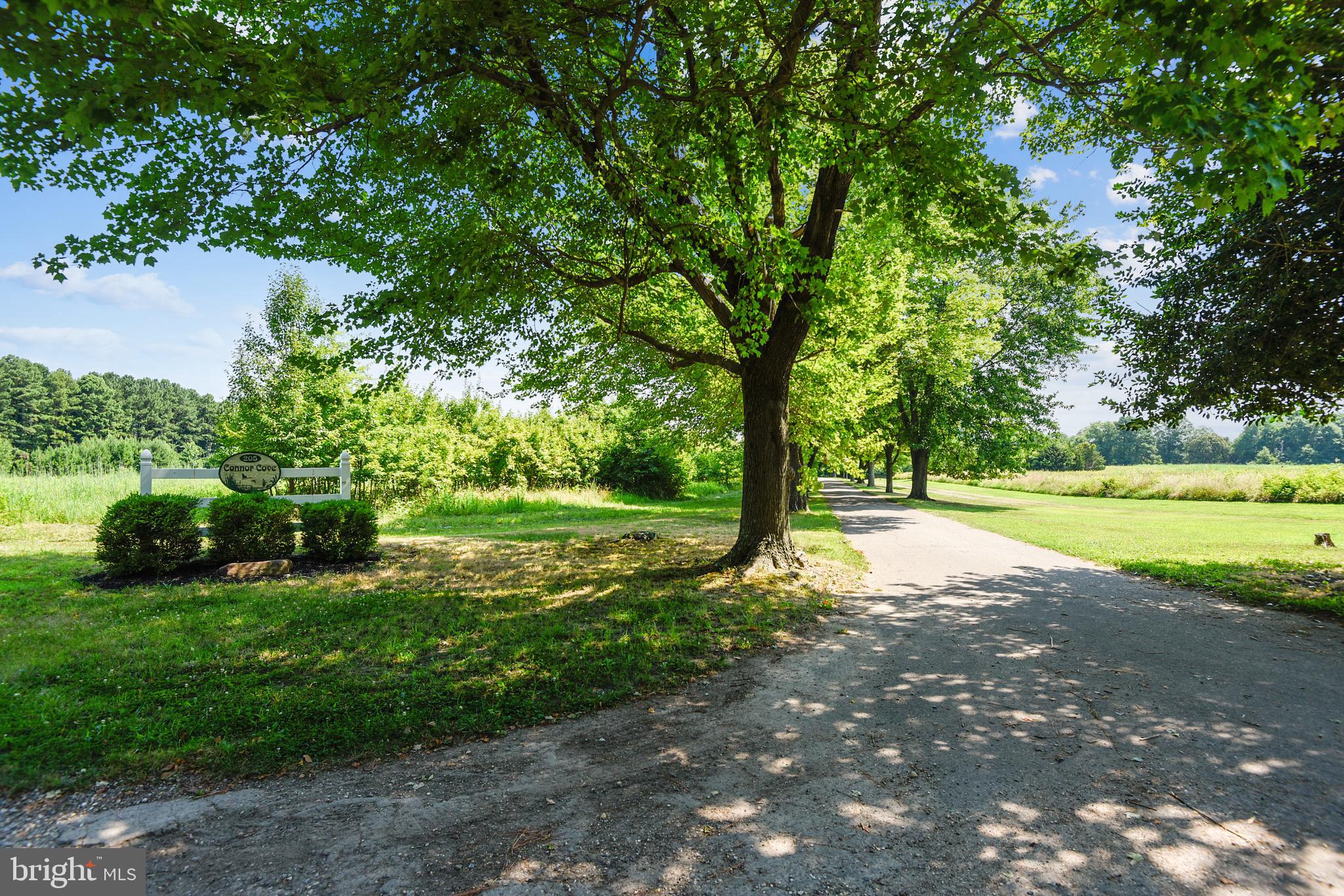PIONEER POINT - Residential