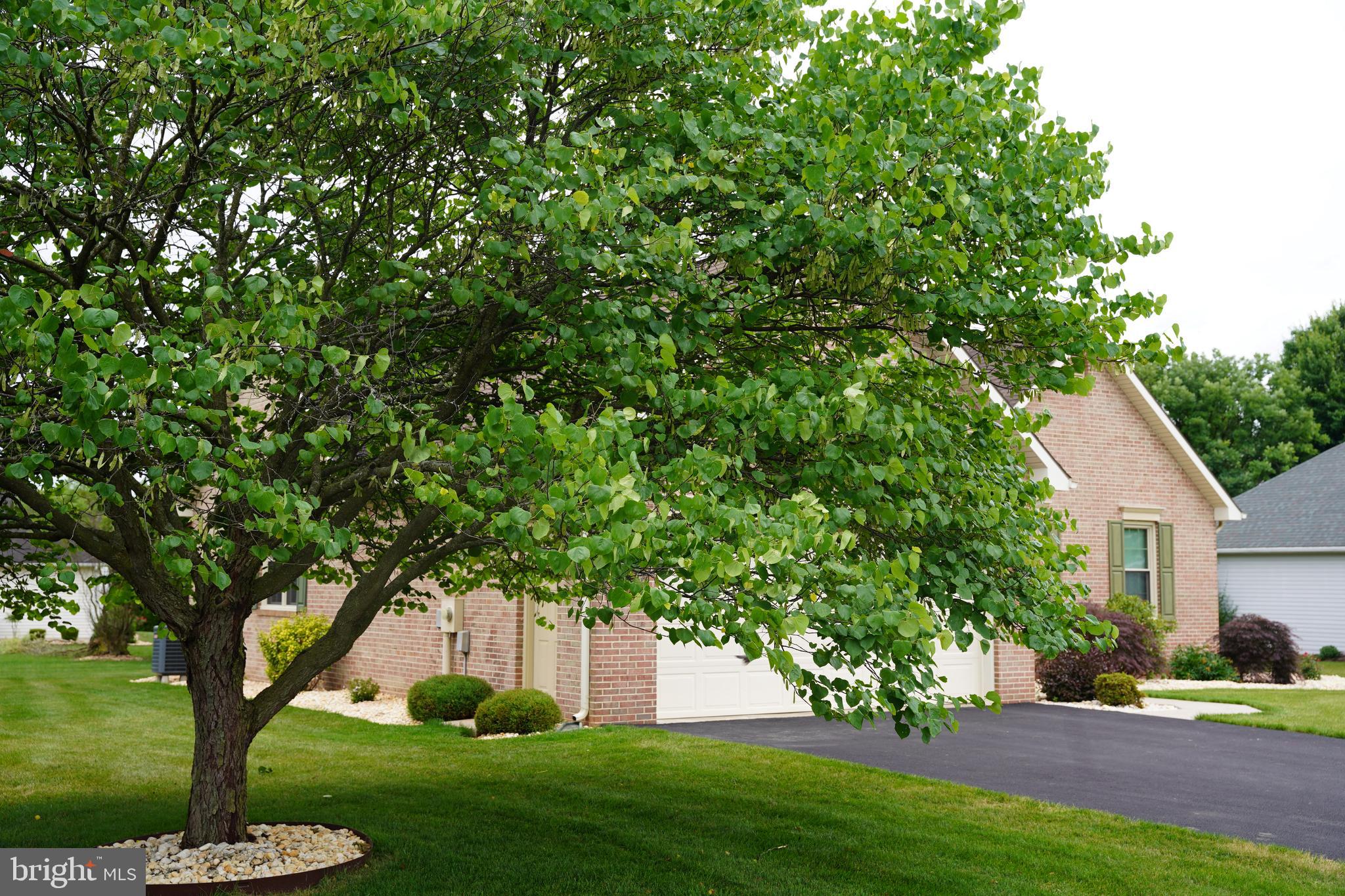 SPRING MILLS - Residential