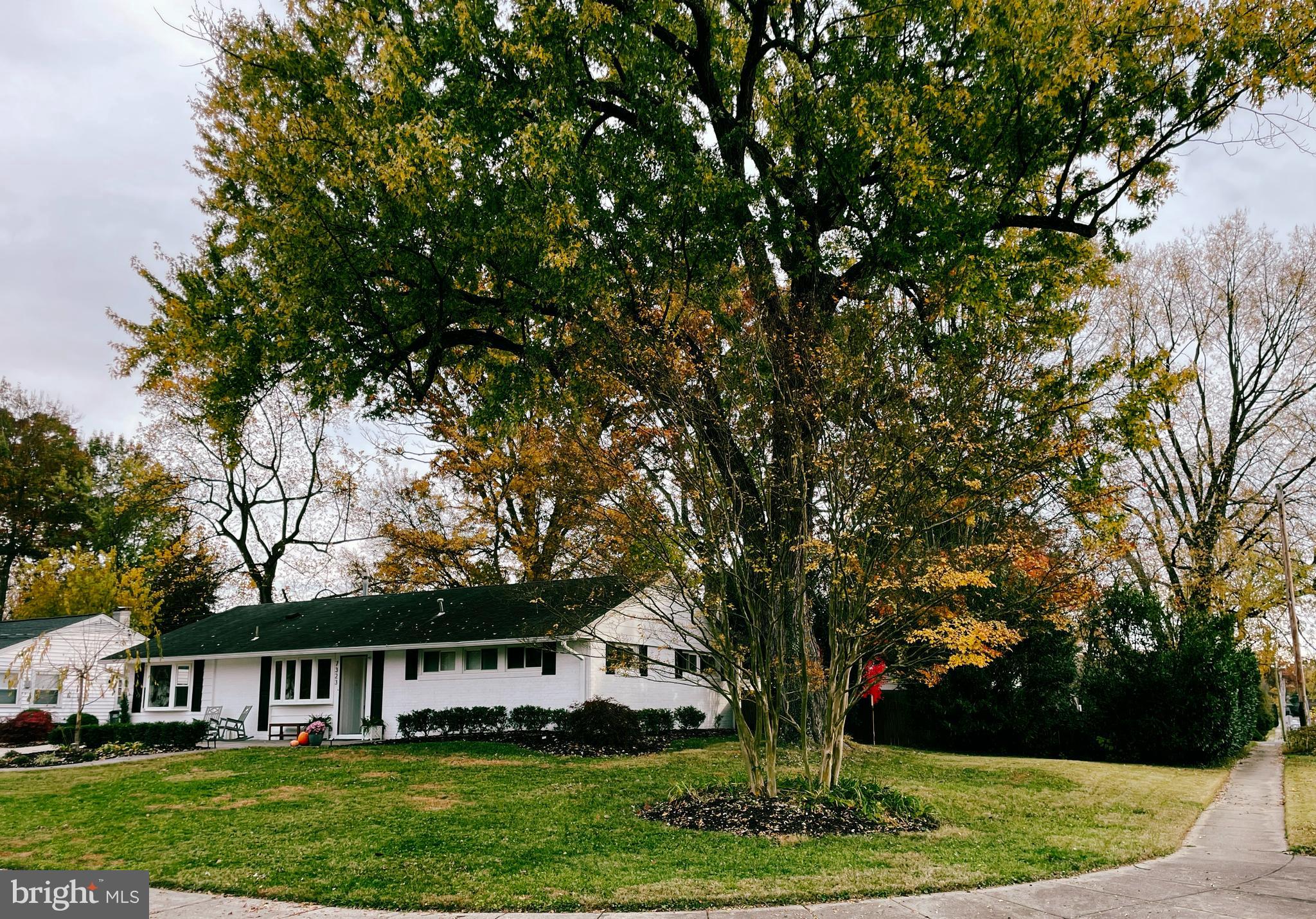 NORTH SPRINGFIELD - Residential